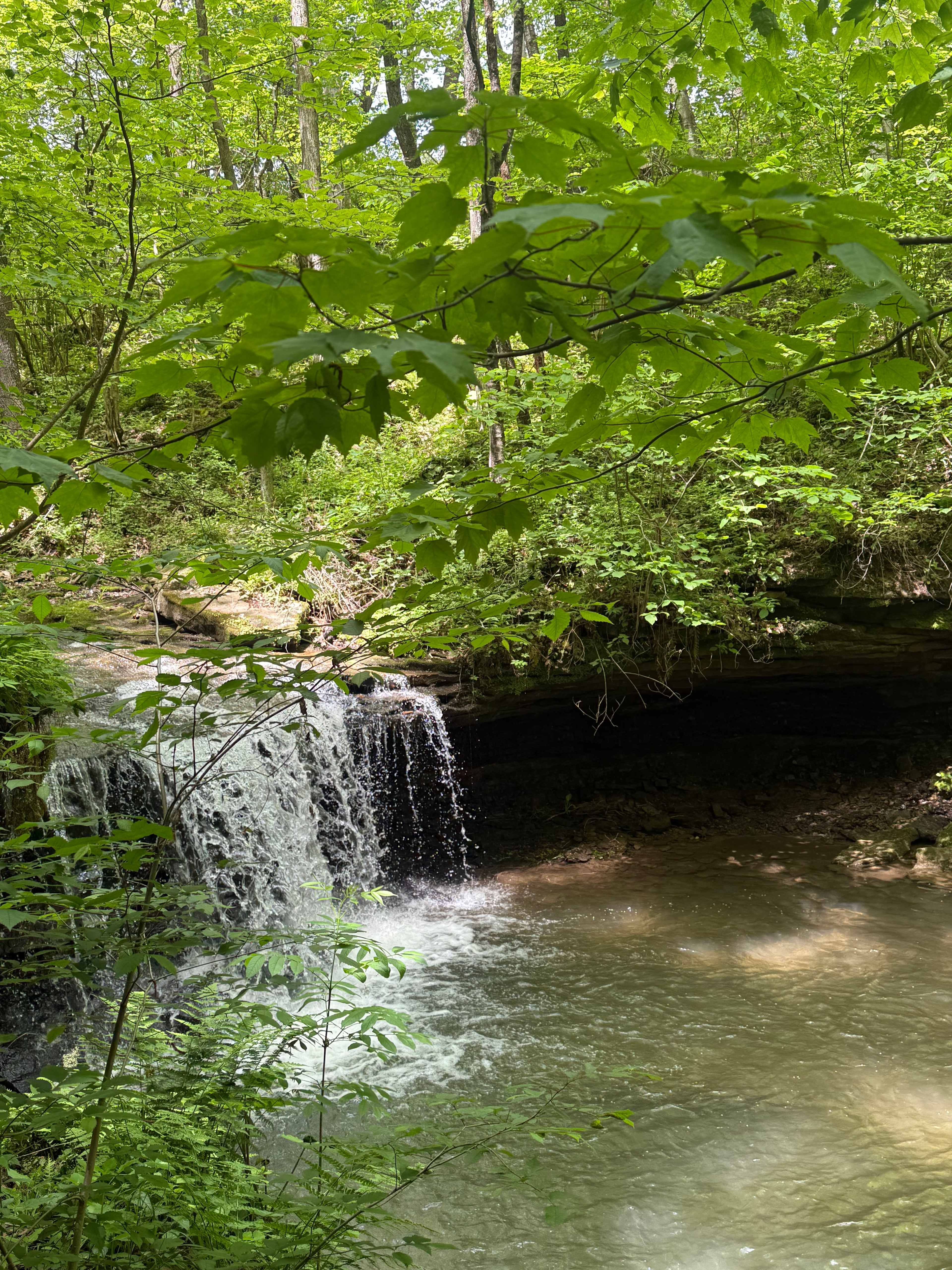 River Hills Above the Allegheny