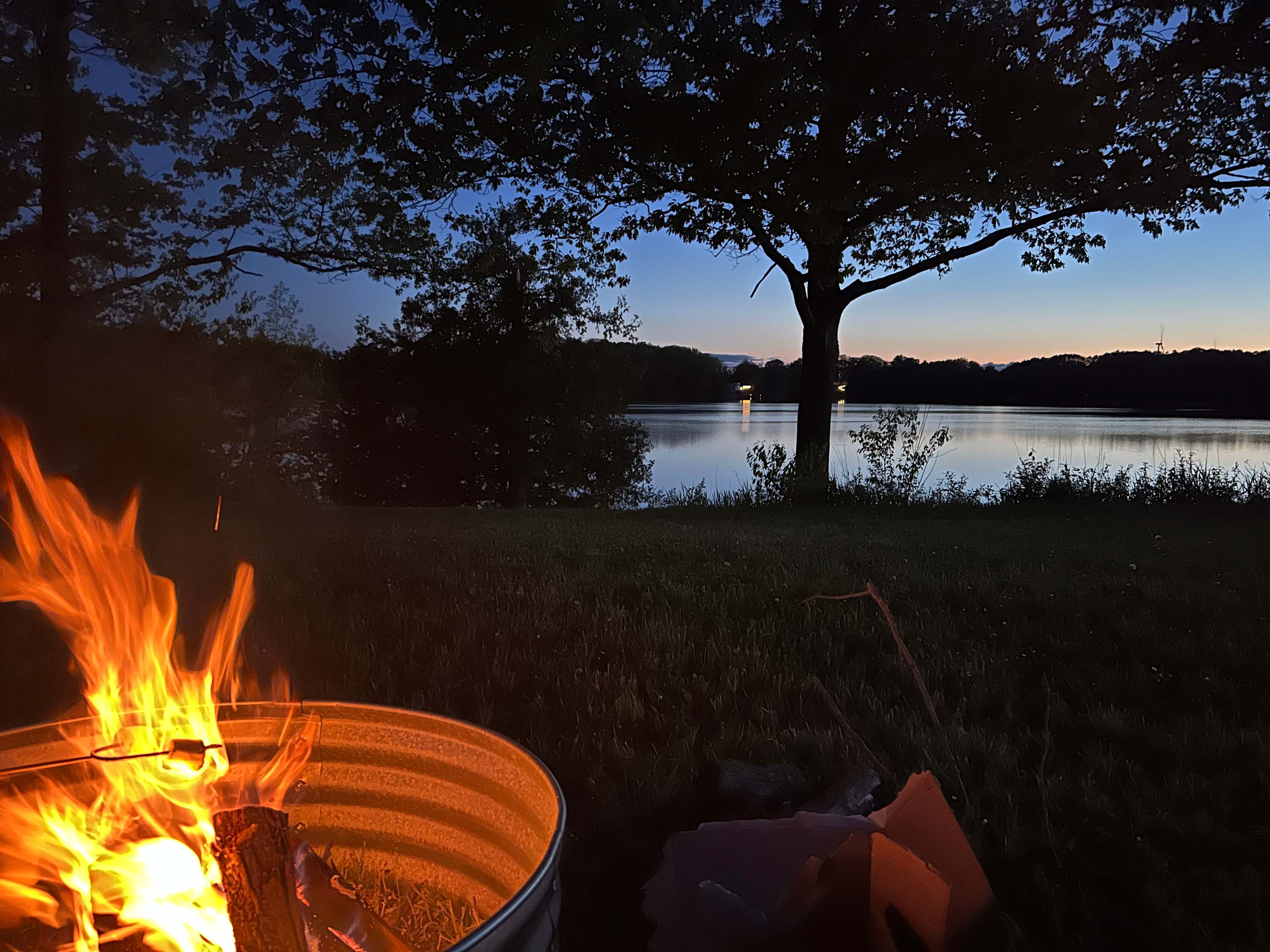 Oxbow Lake Oasis