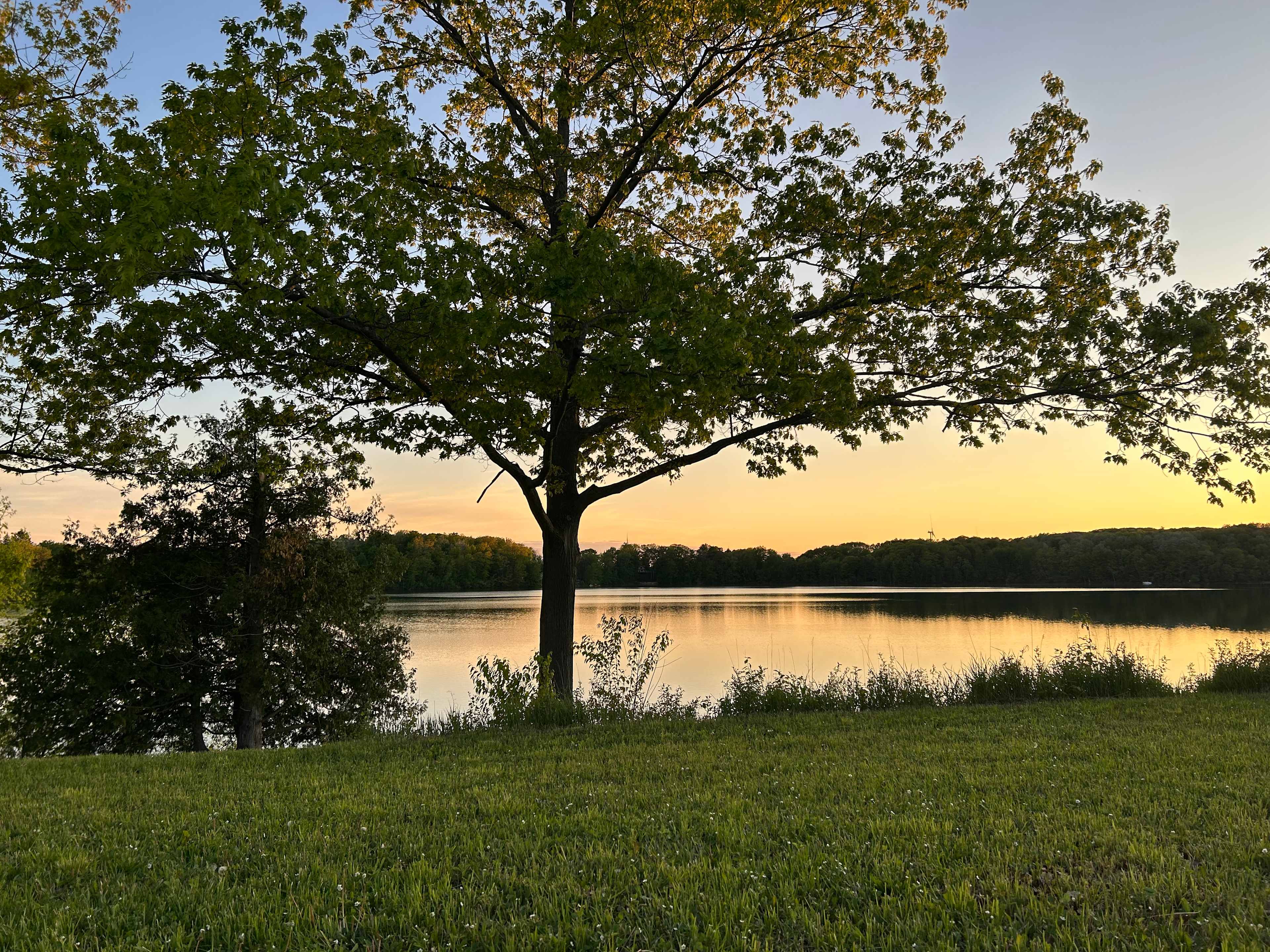Oxbow Lake Oasis