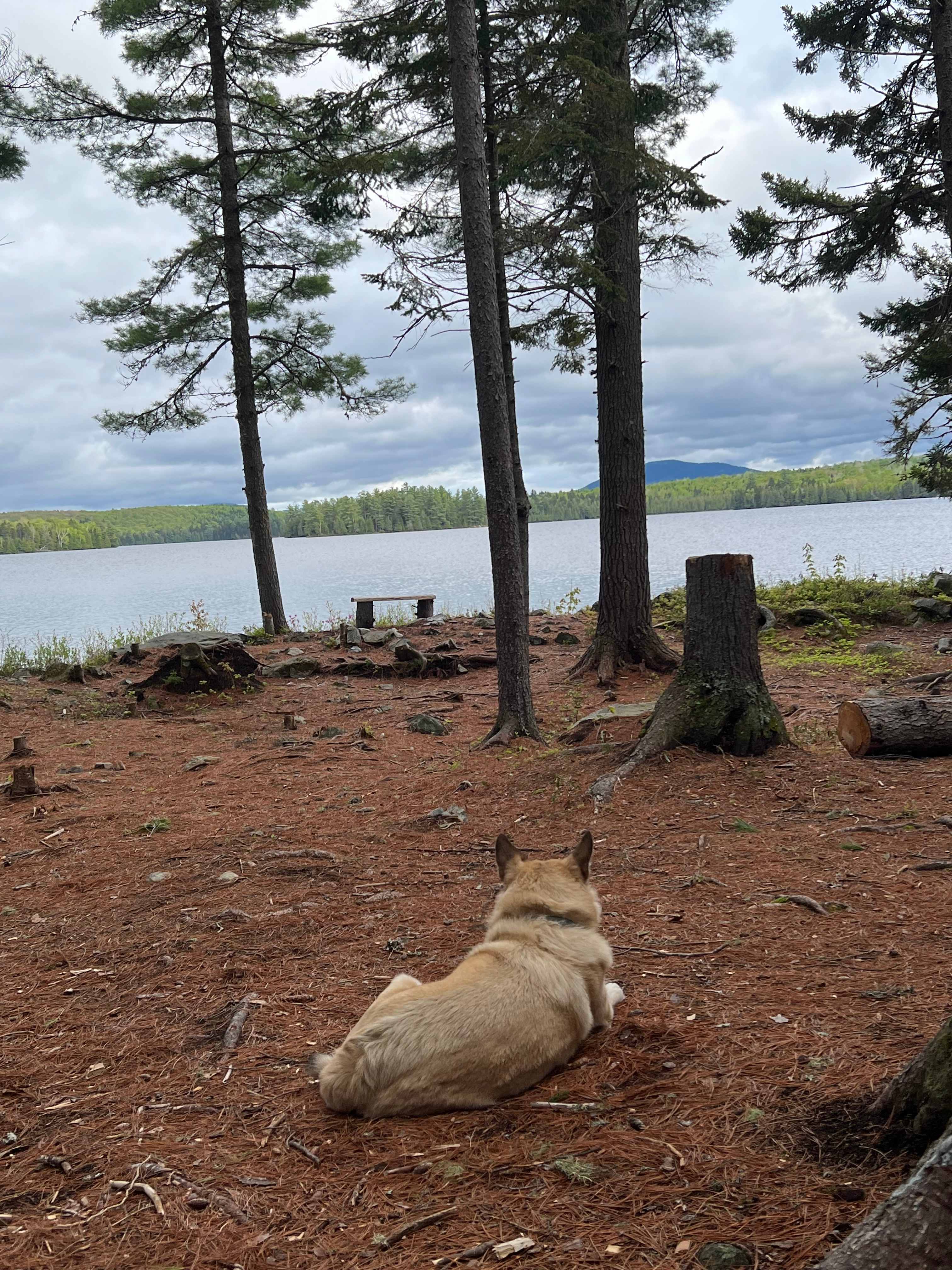 Evergreen Conservation Area