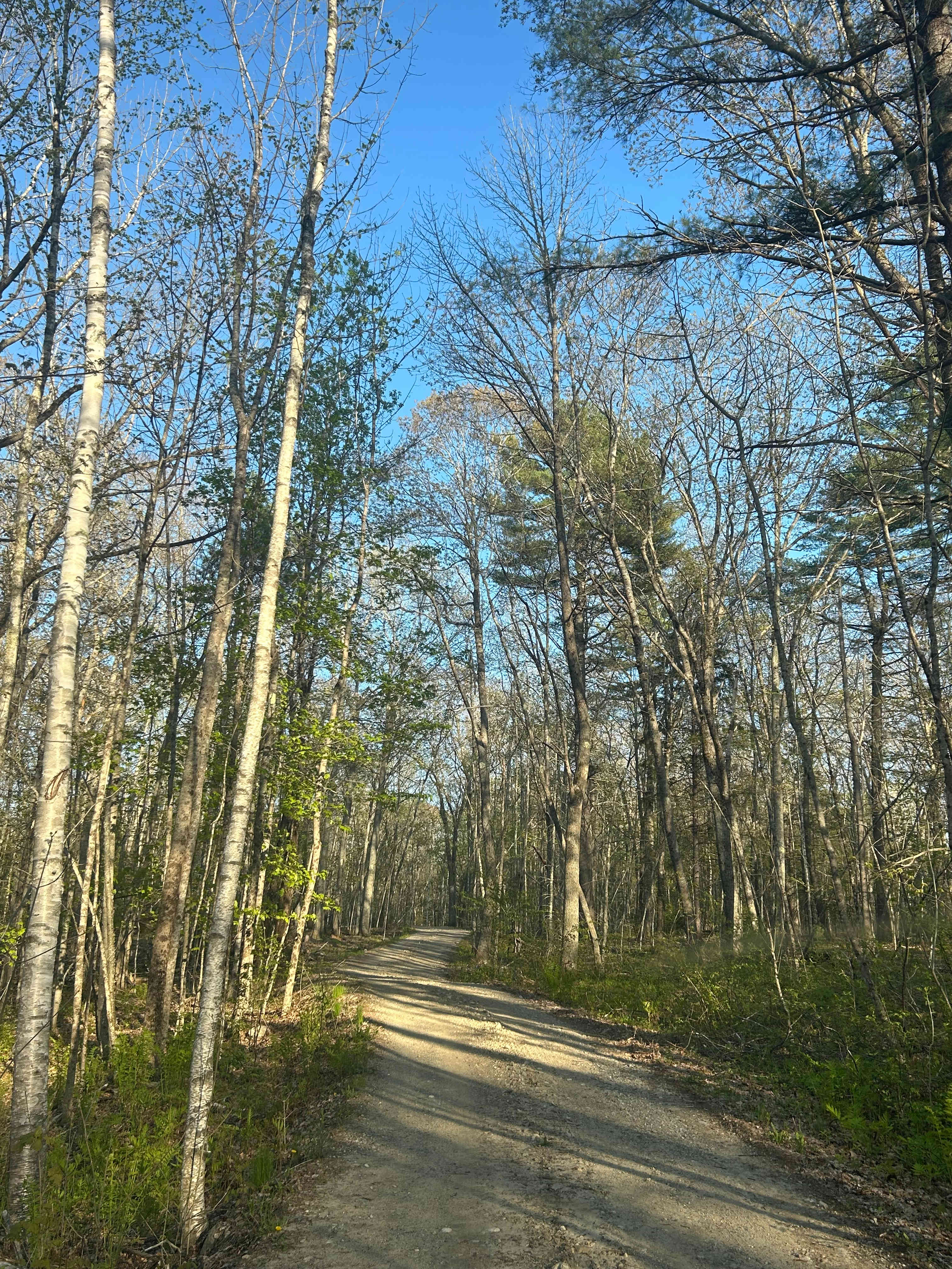 Camp Sites at Freedom Farm