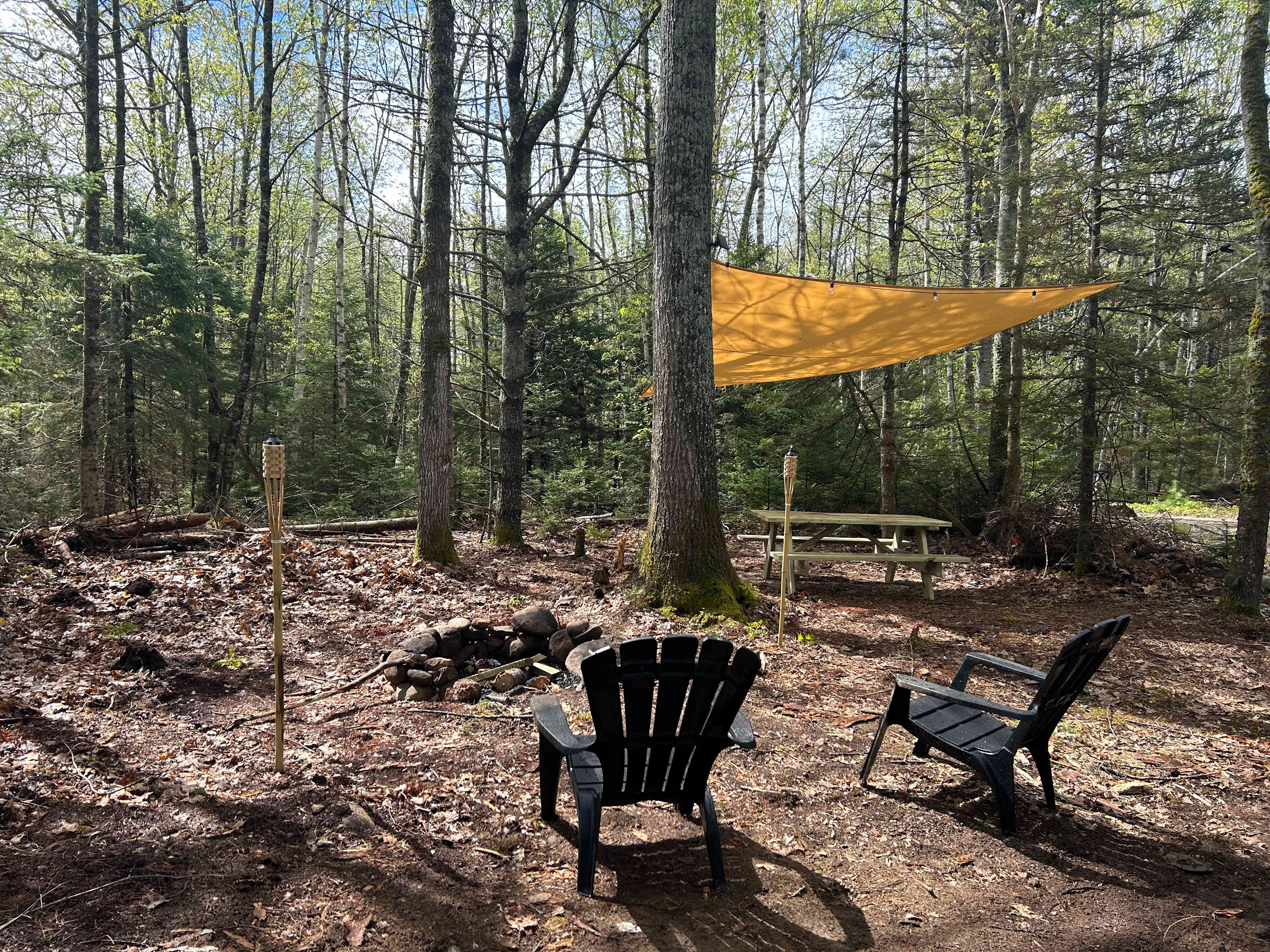 Camp Sites at Freedom Farm