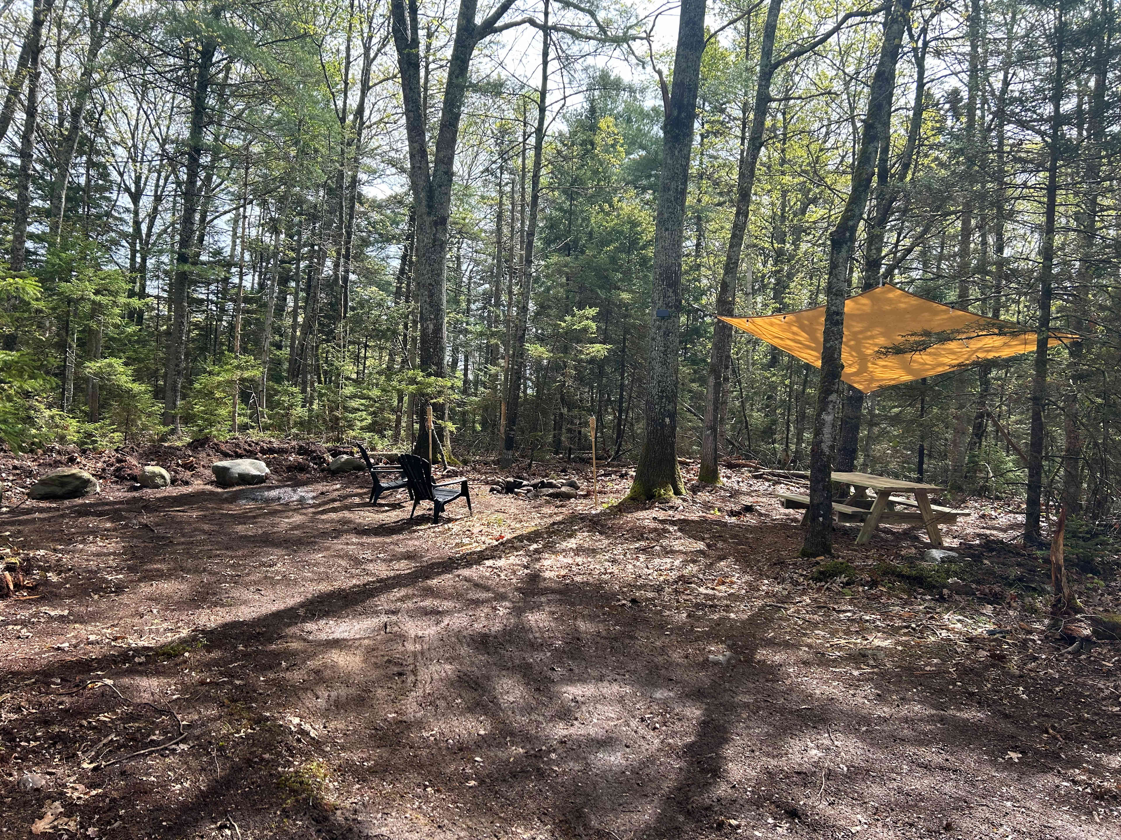Camp Sites at Freedom Farm