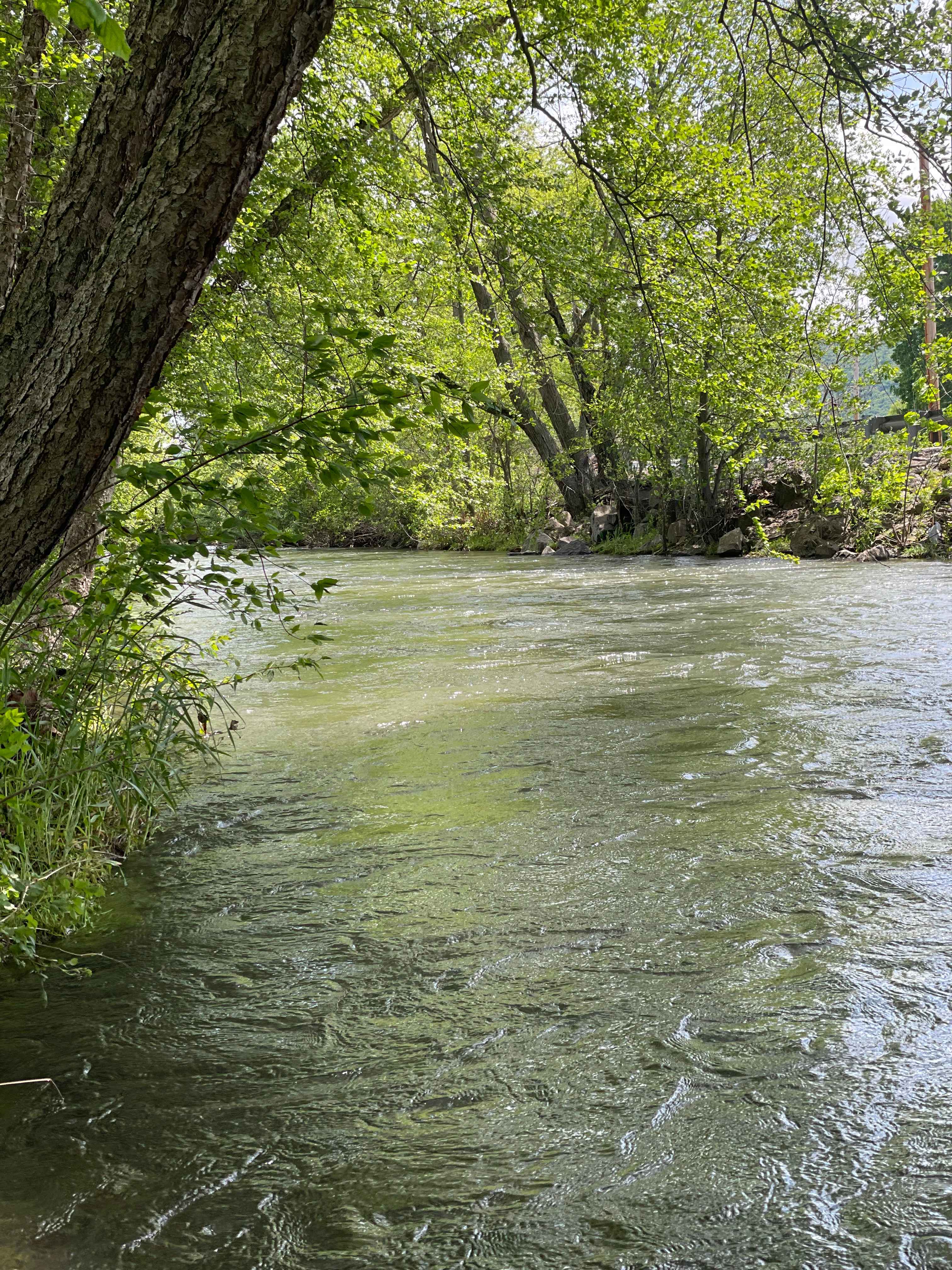 Farm on the Creek