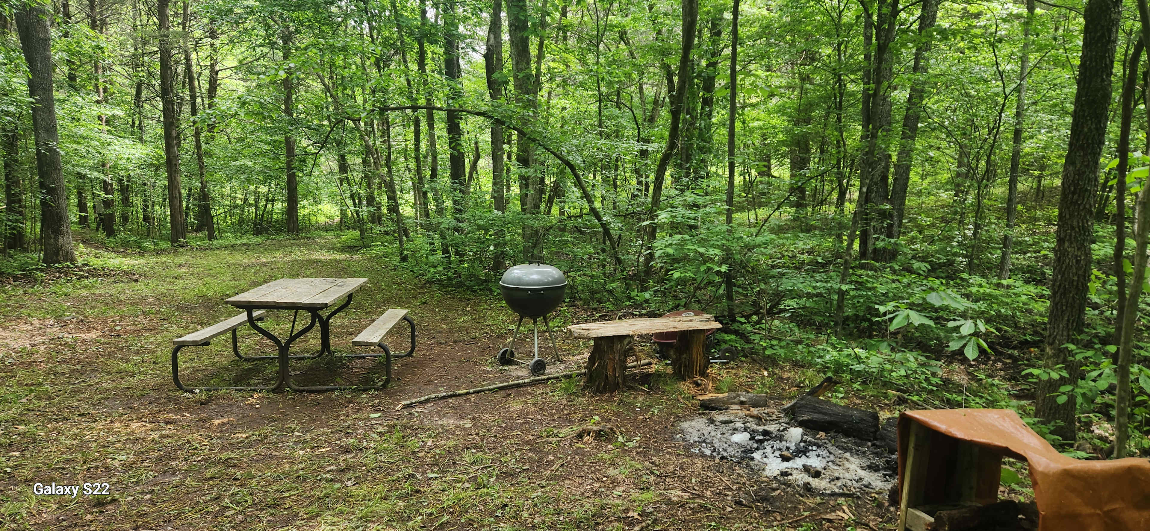 Picture of the site