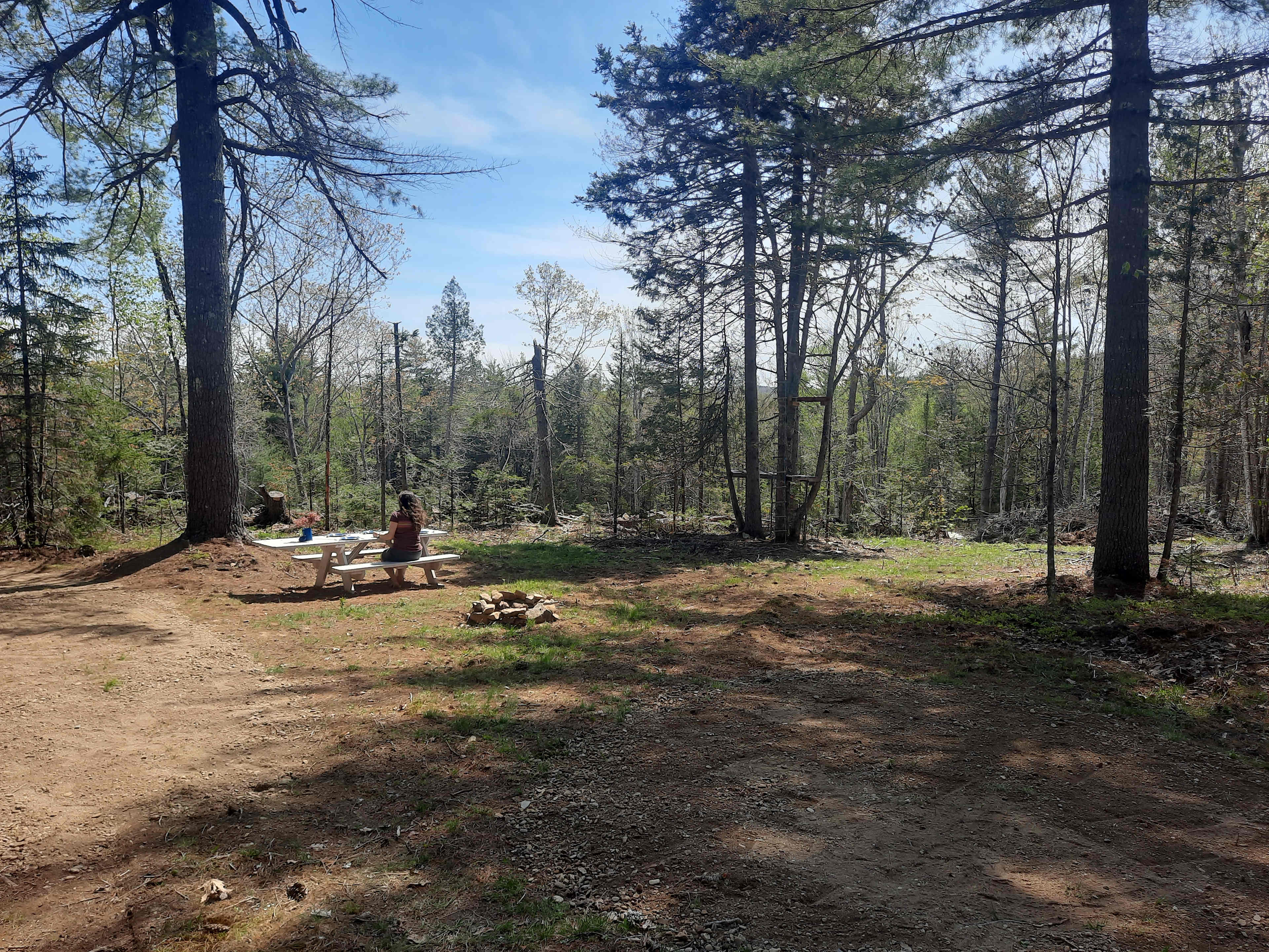 Peaceful Pine Retreat near Belfast