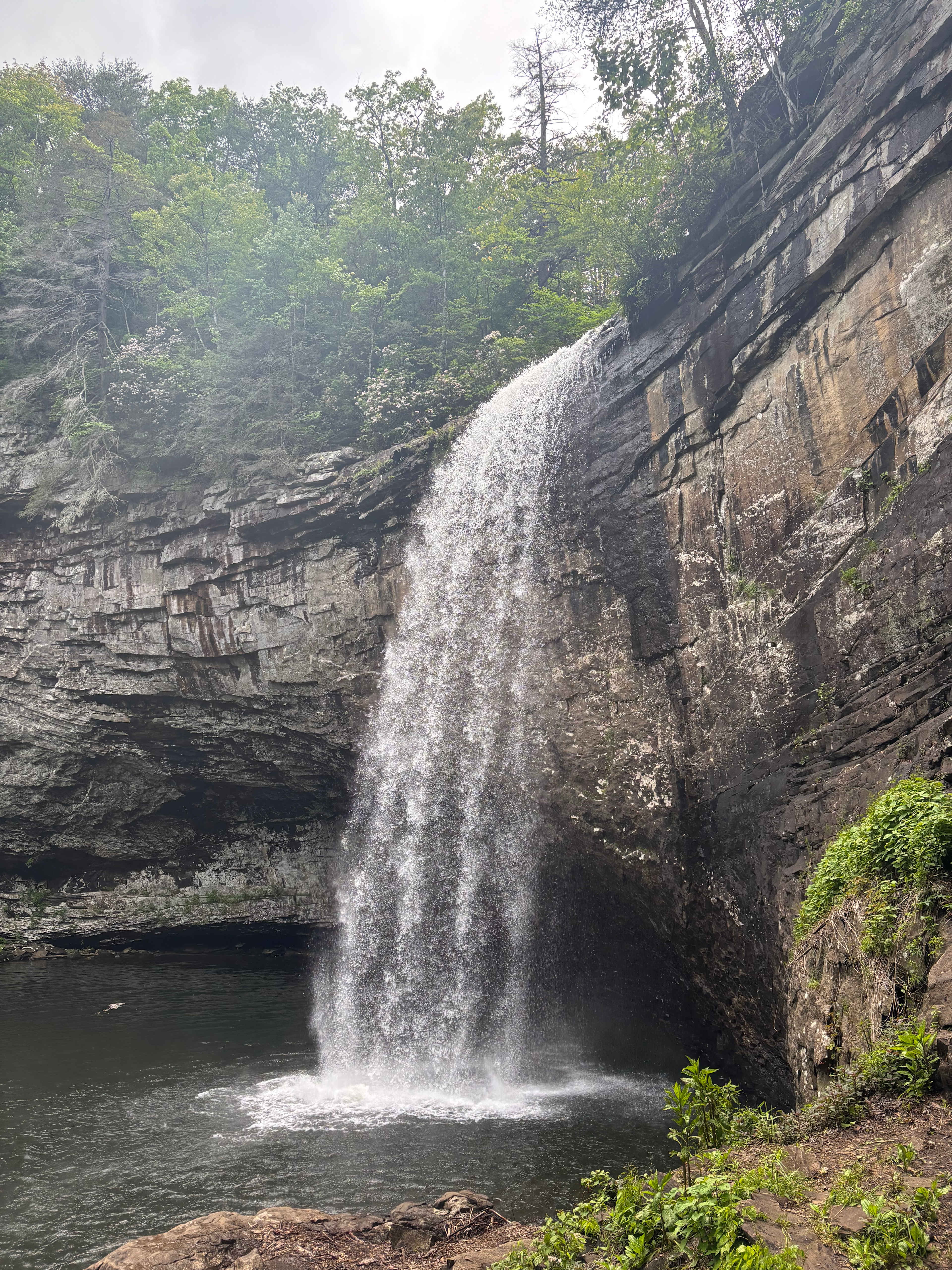 Foster Falls waterfall