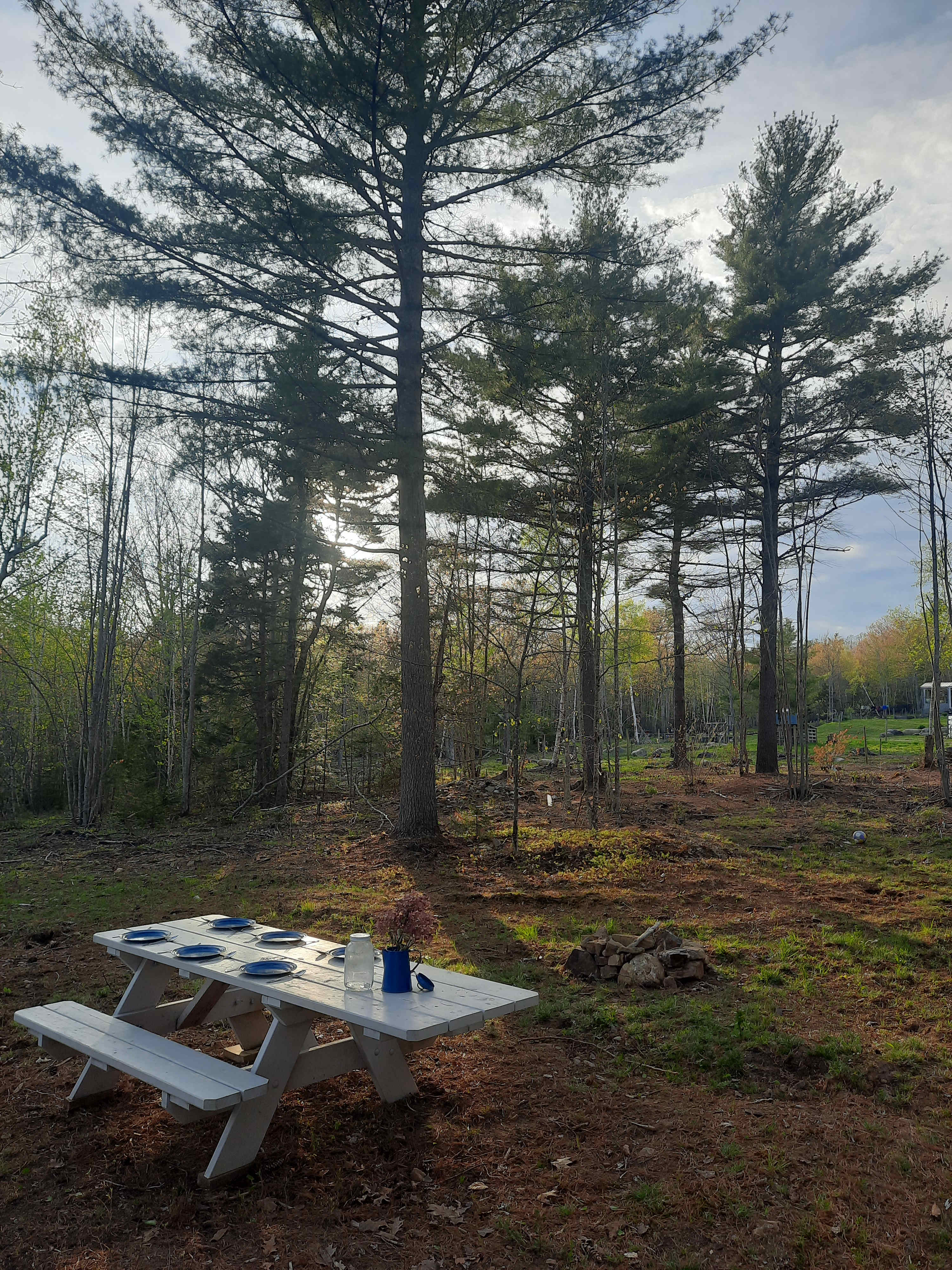Peaceful Pine Retreat near Belfast