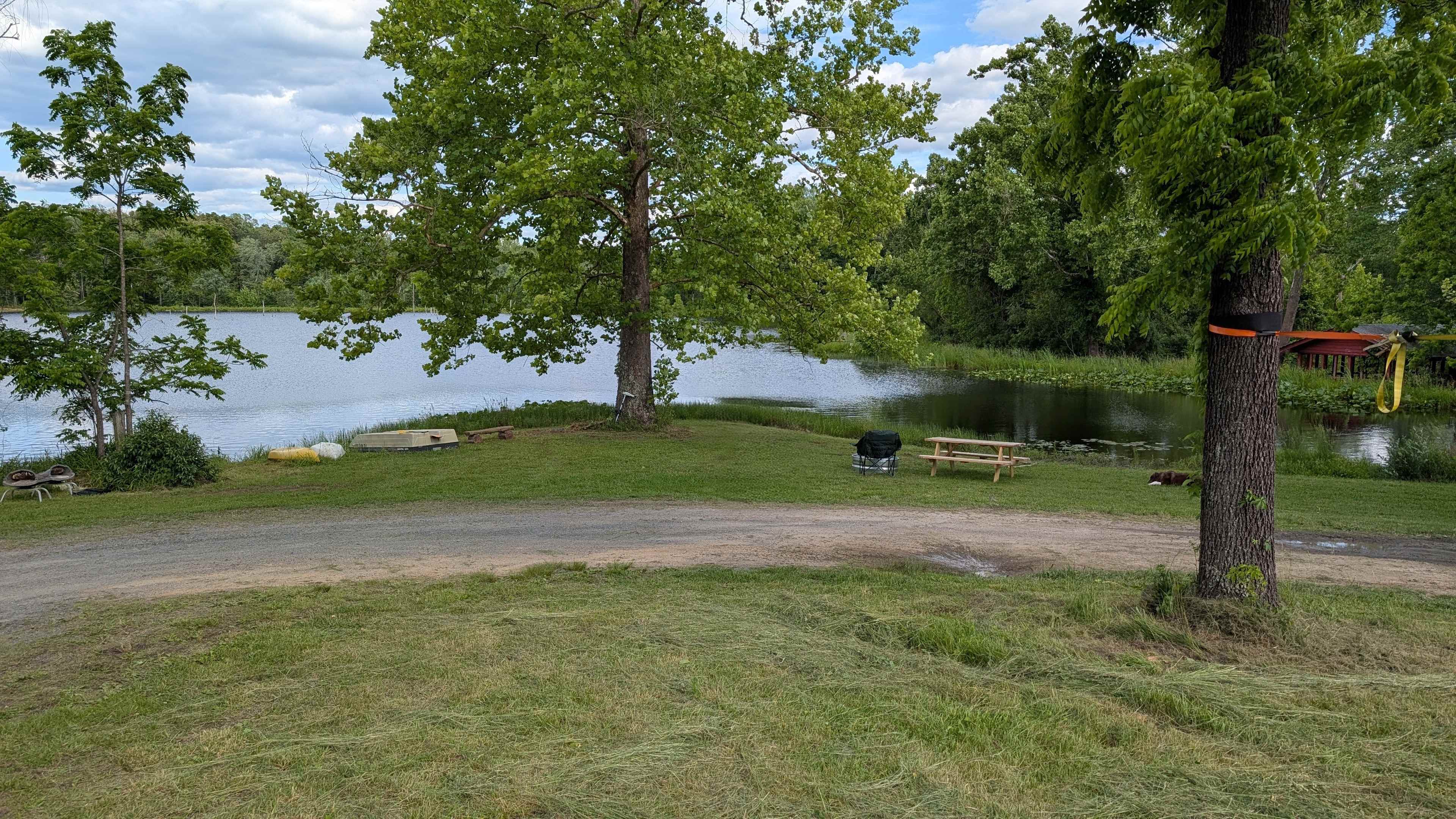 Picture of the site