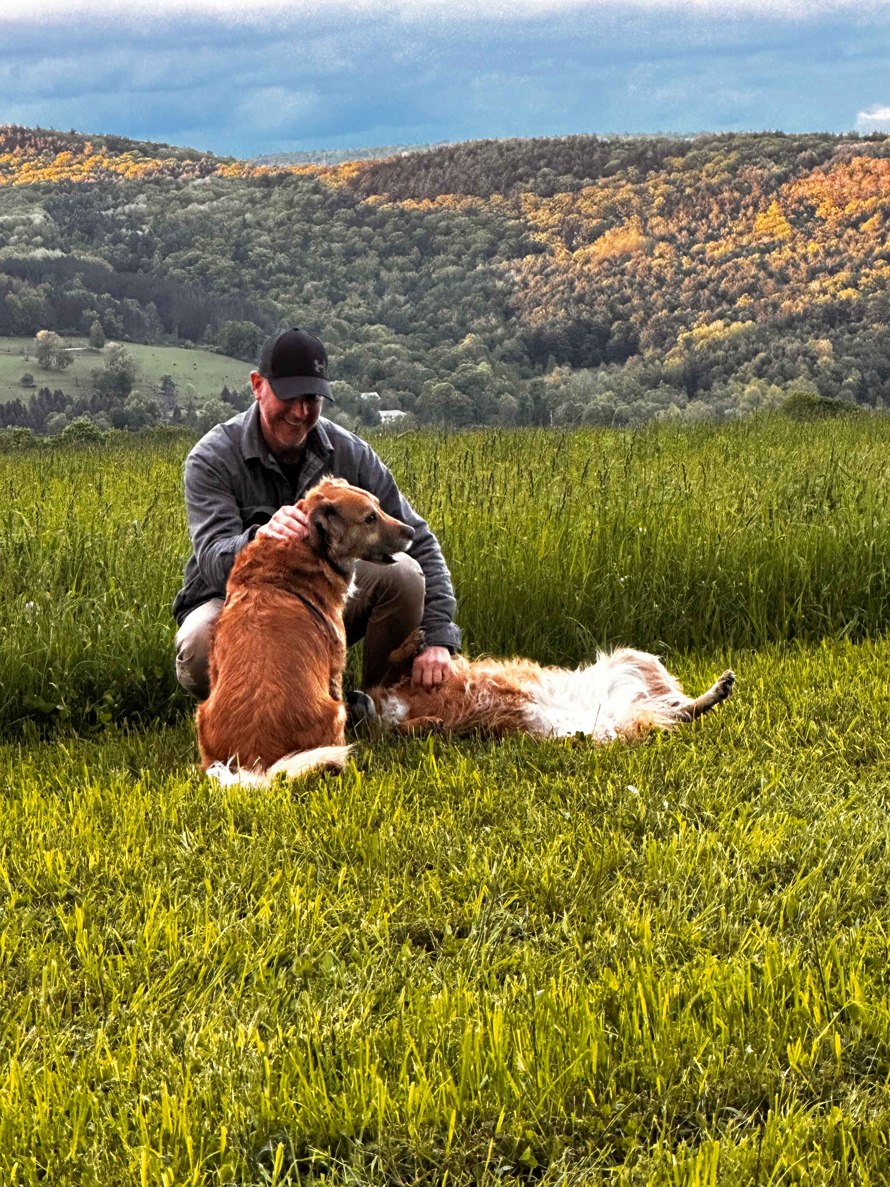dogs were able to roam freely
