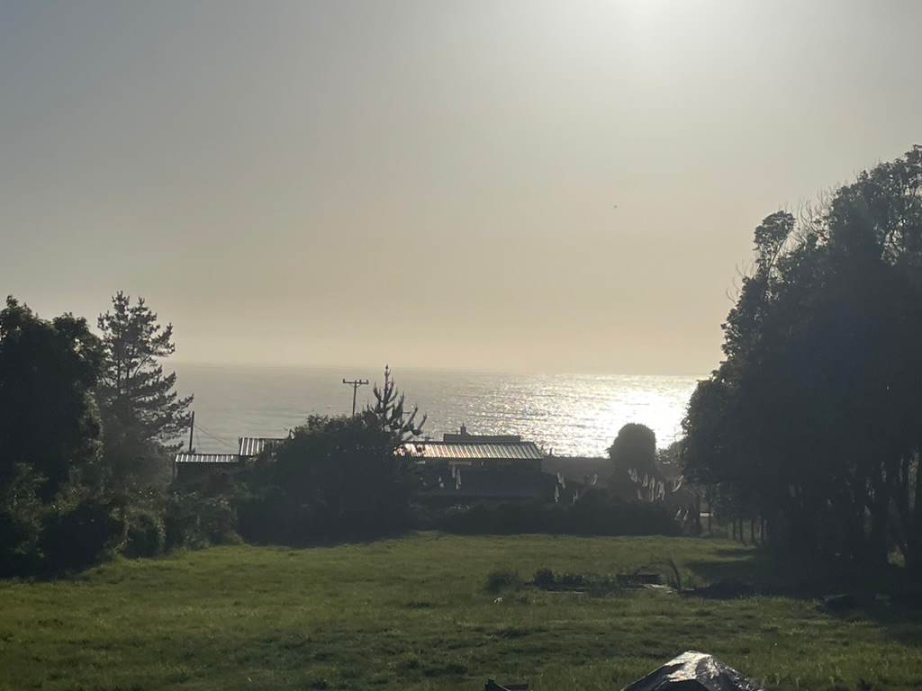 Meadow Site Ocean View