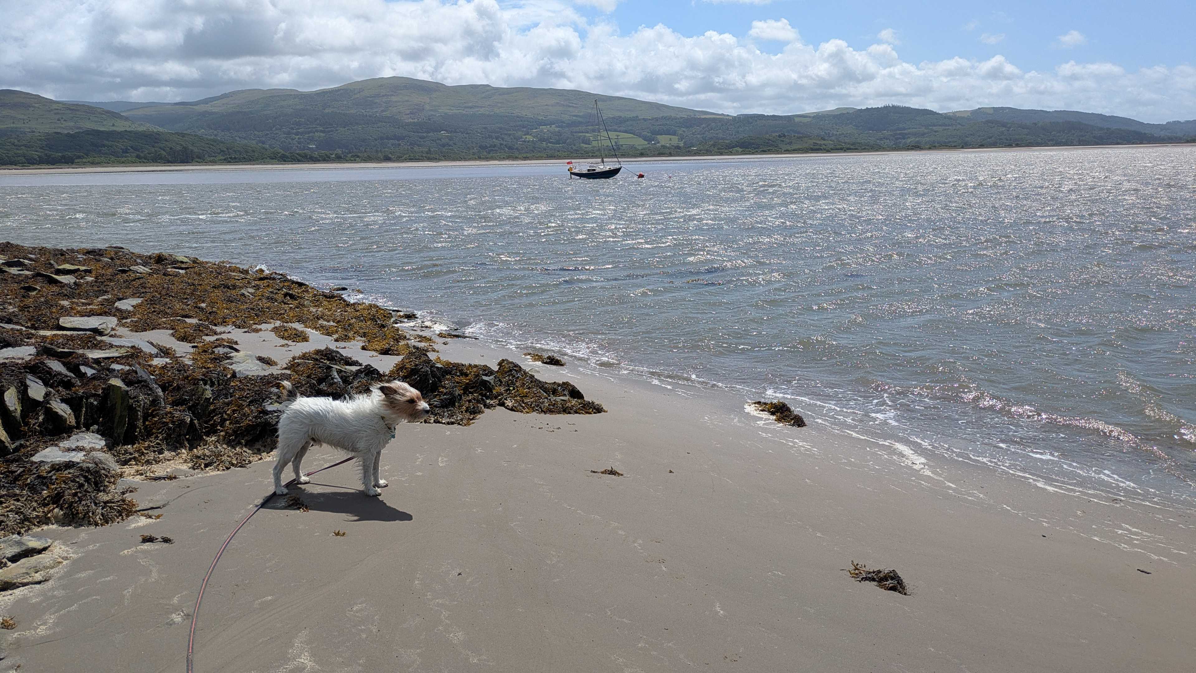 Beach area