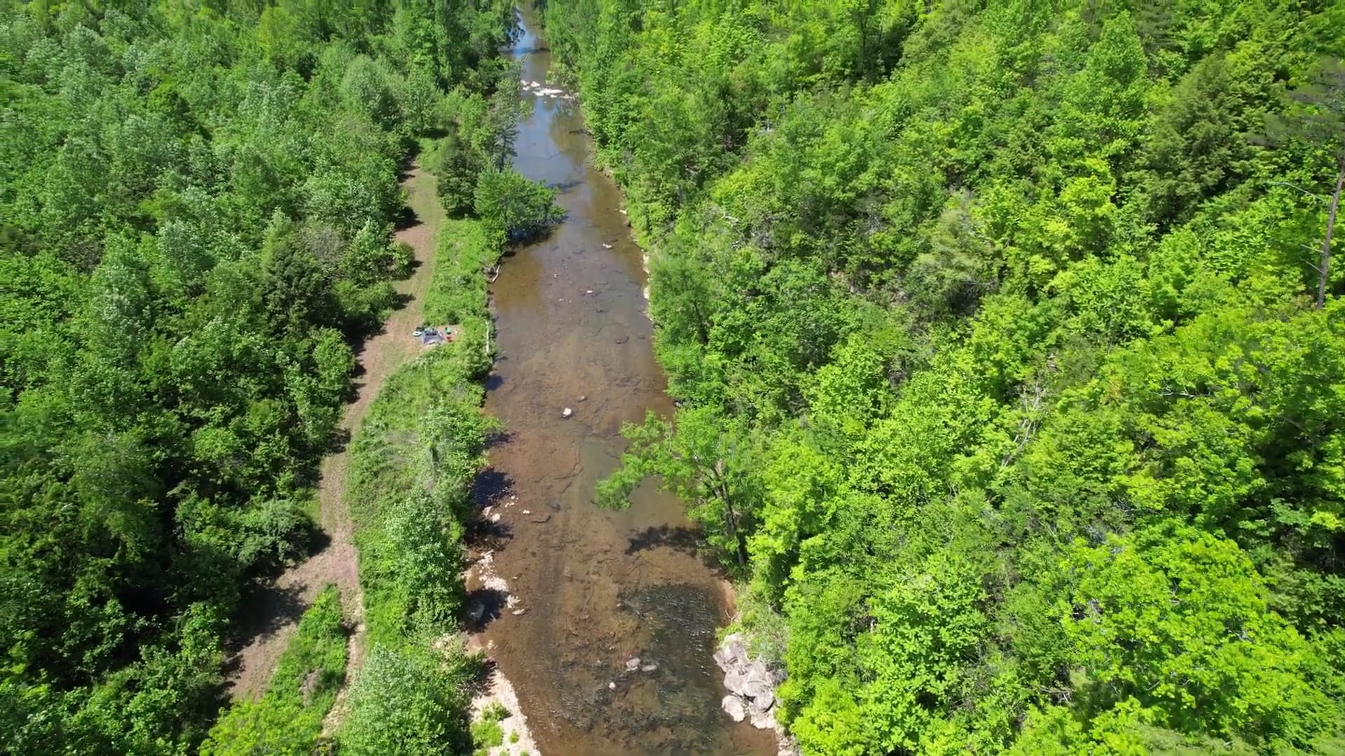 Picture of the site
