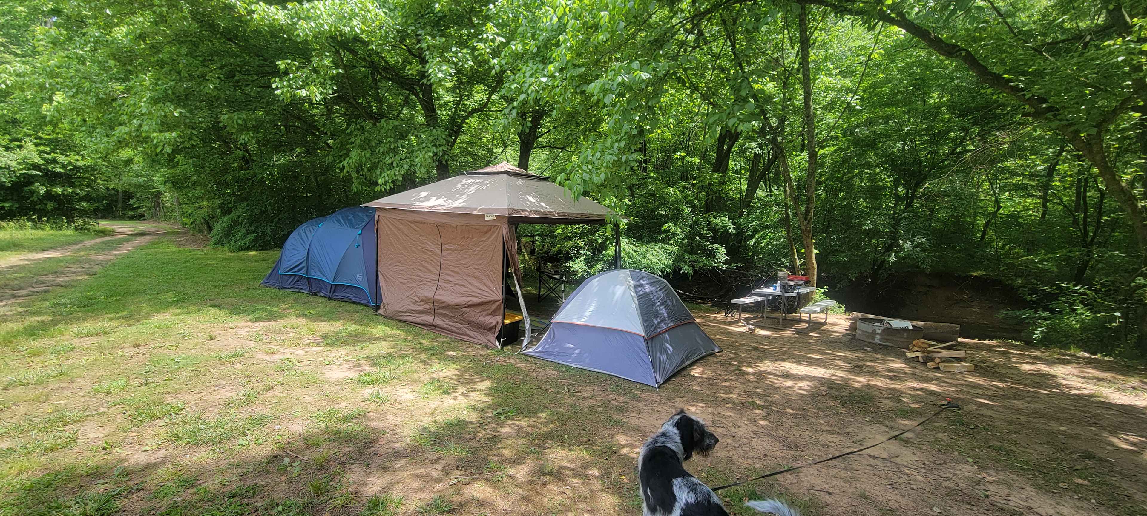 The Oasis at Harmon Creek Farms