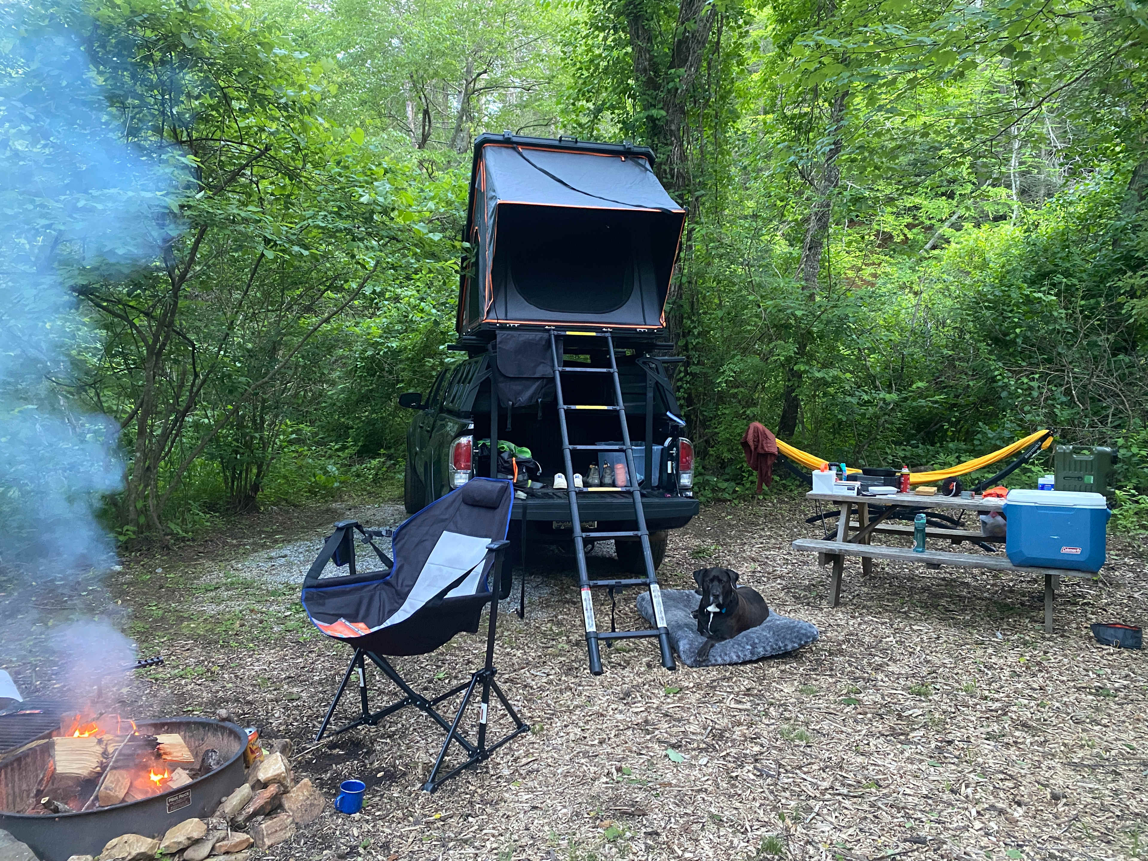 TangleWood Creekside Campsites