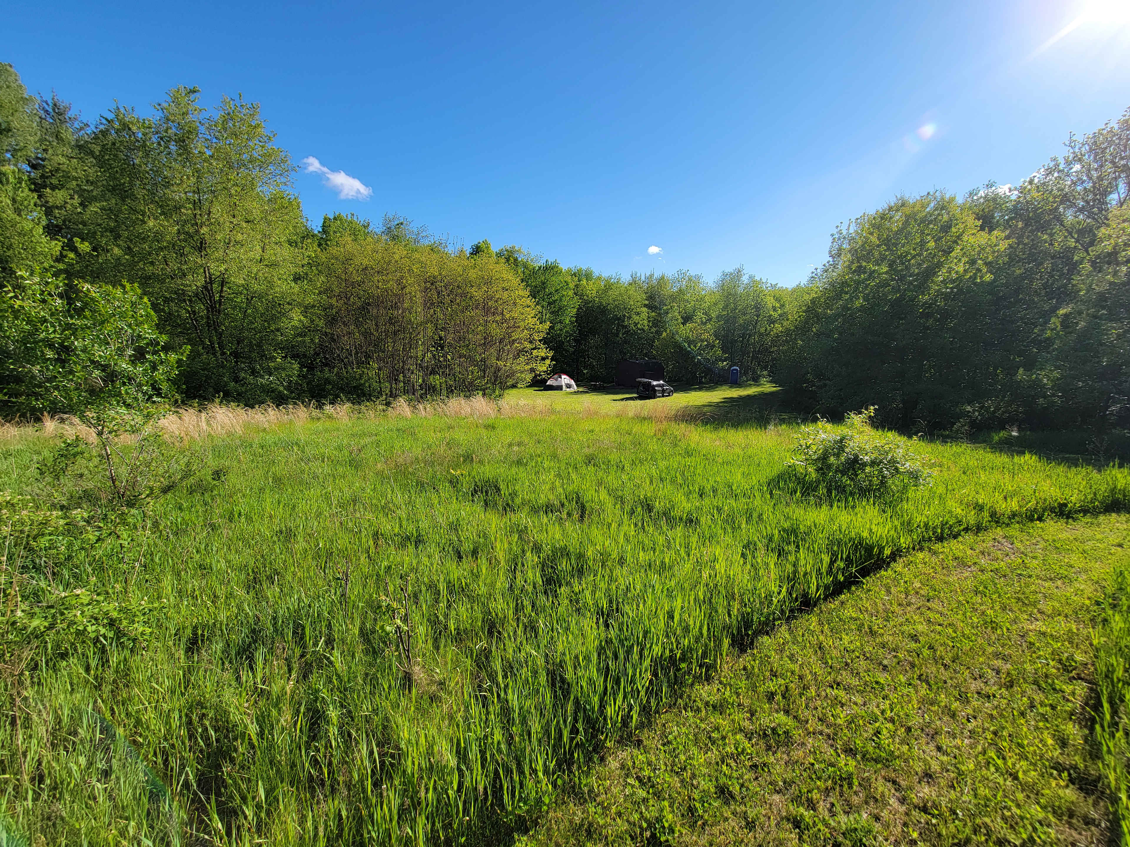 Gage Street Sanctuary