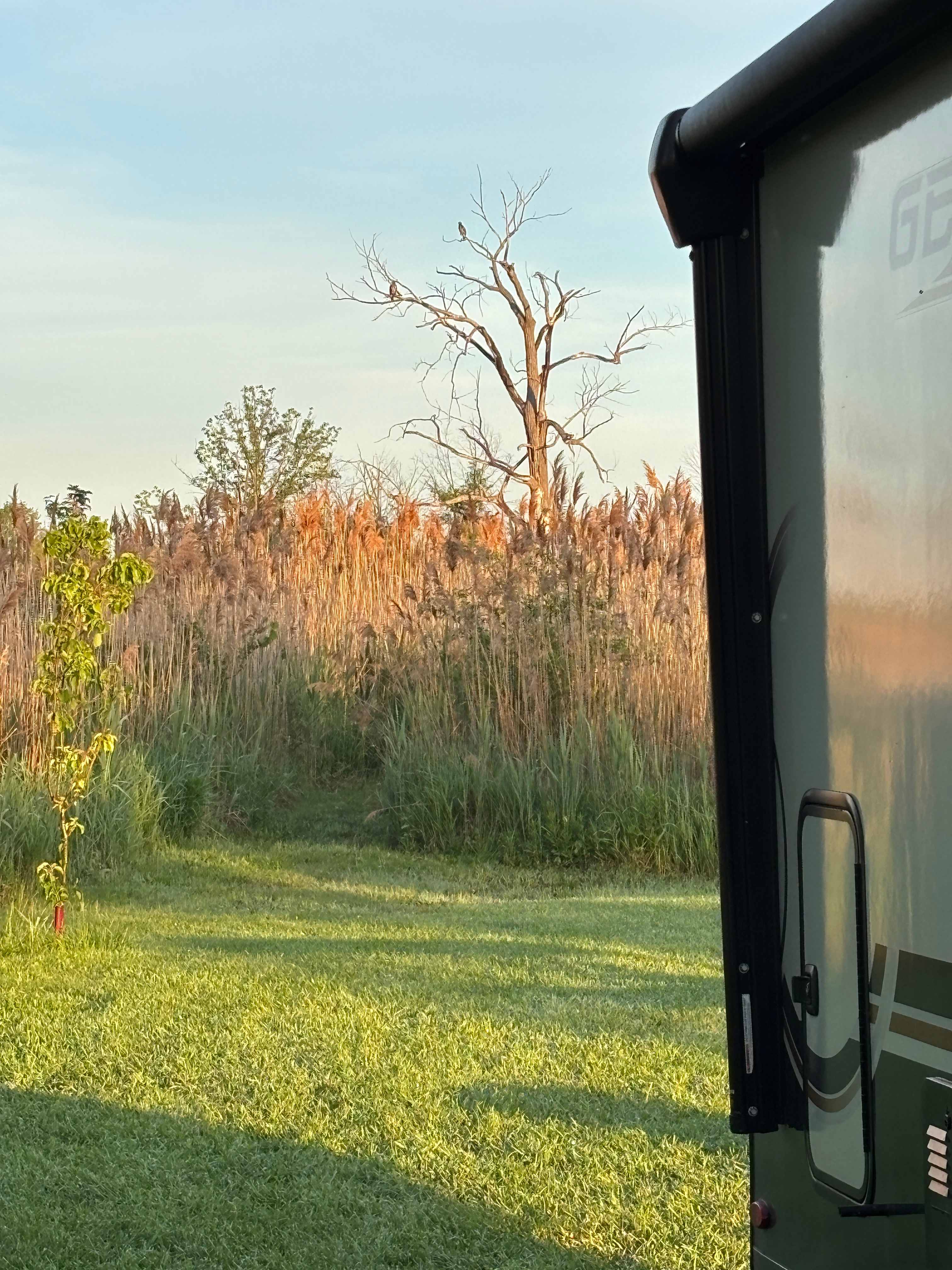 Riverside Camping