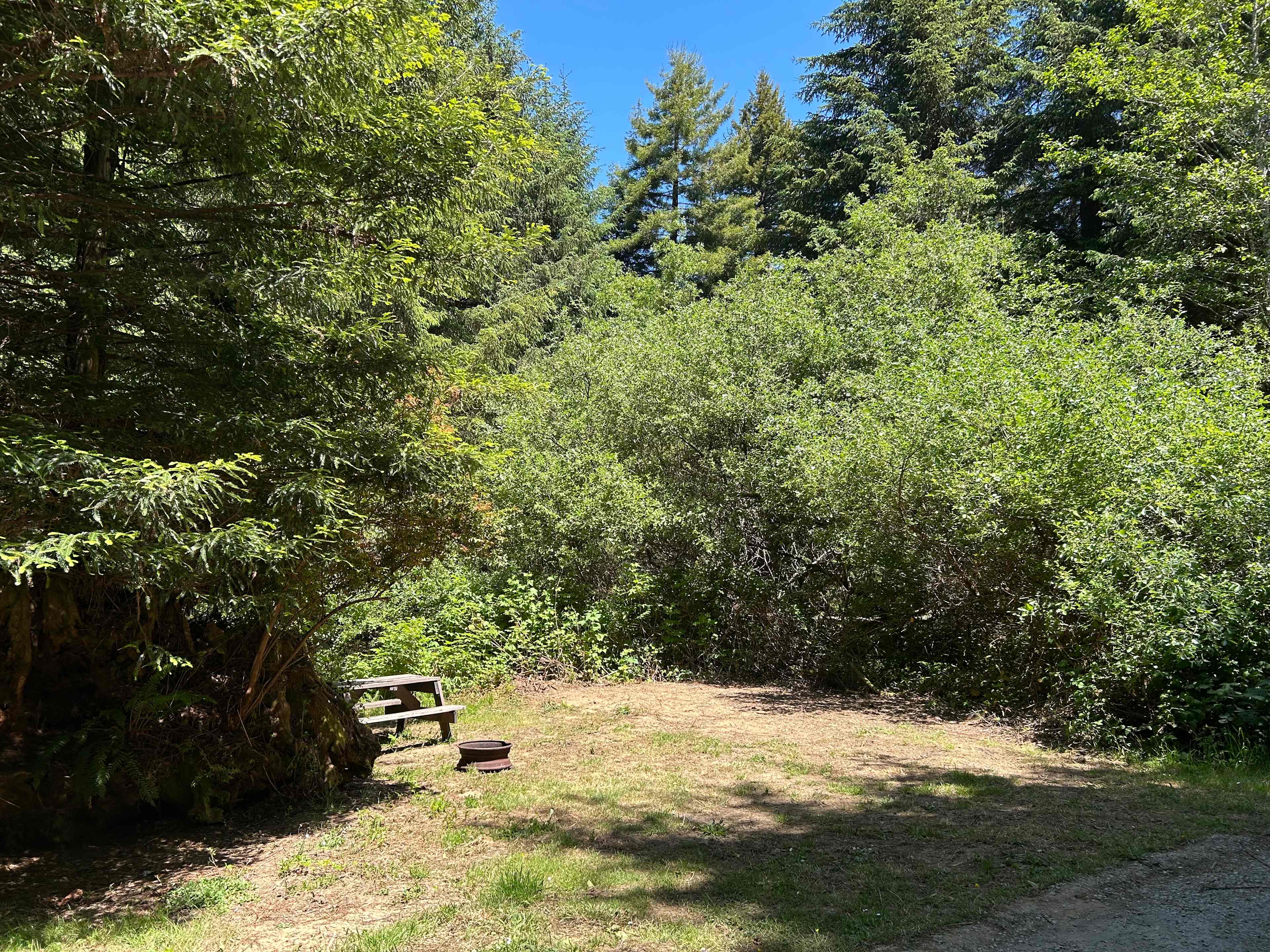 Mystic Forest Campground