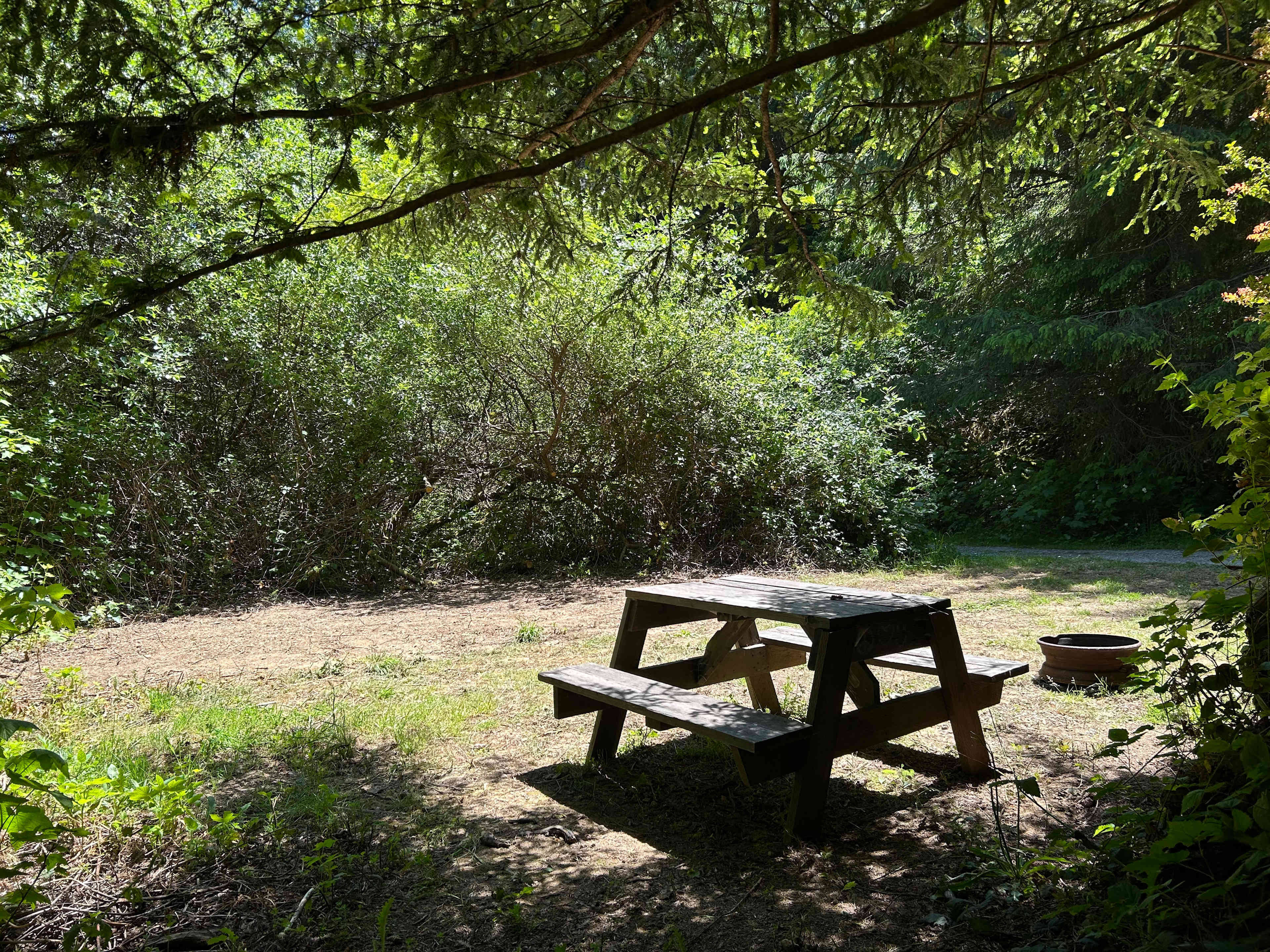 Picture of the site