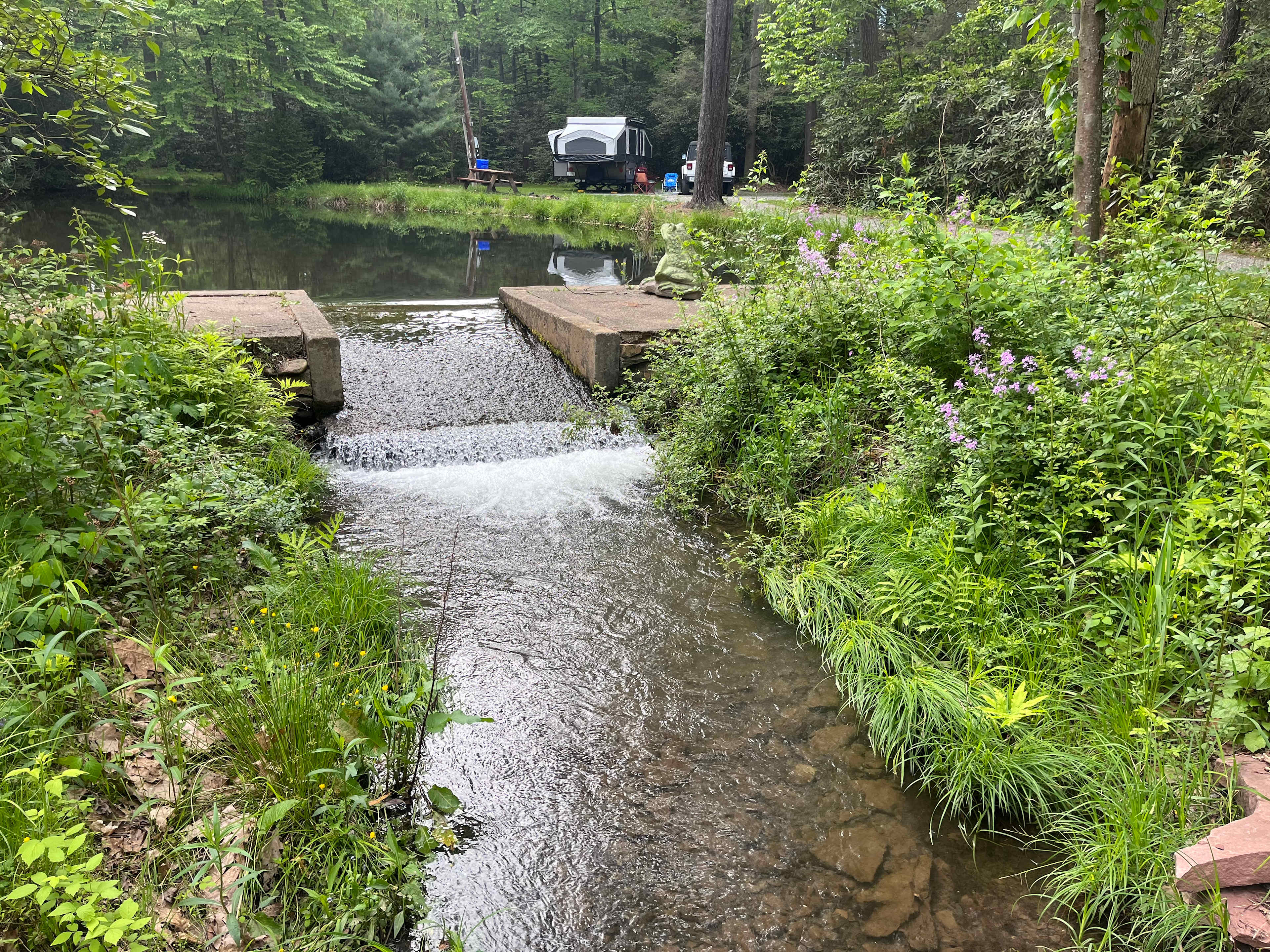 Bald Eagle Campsite