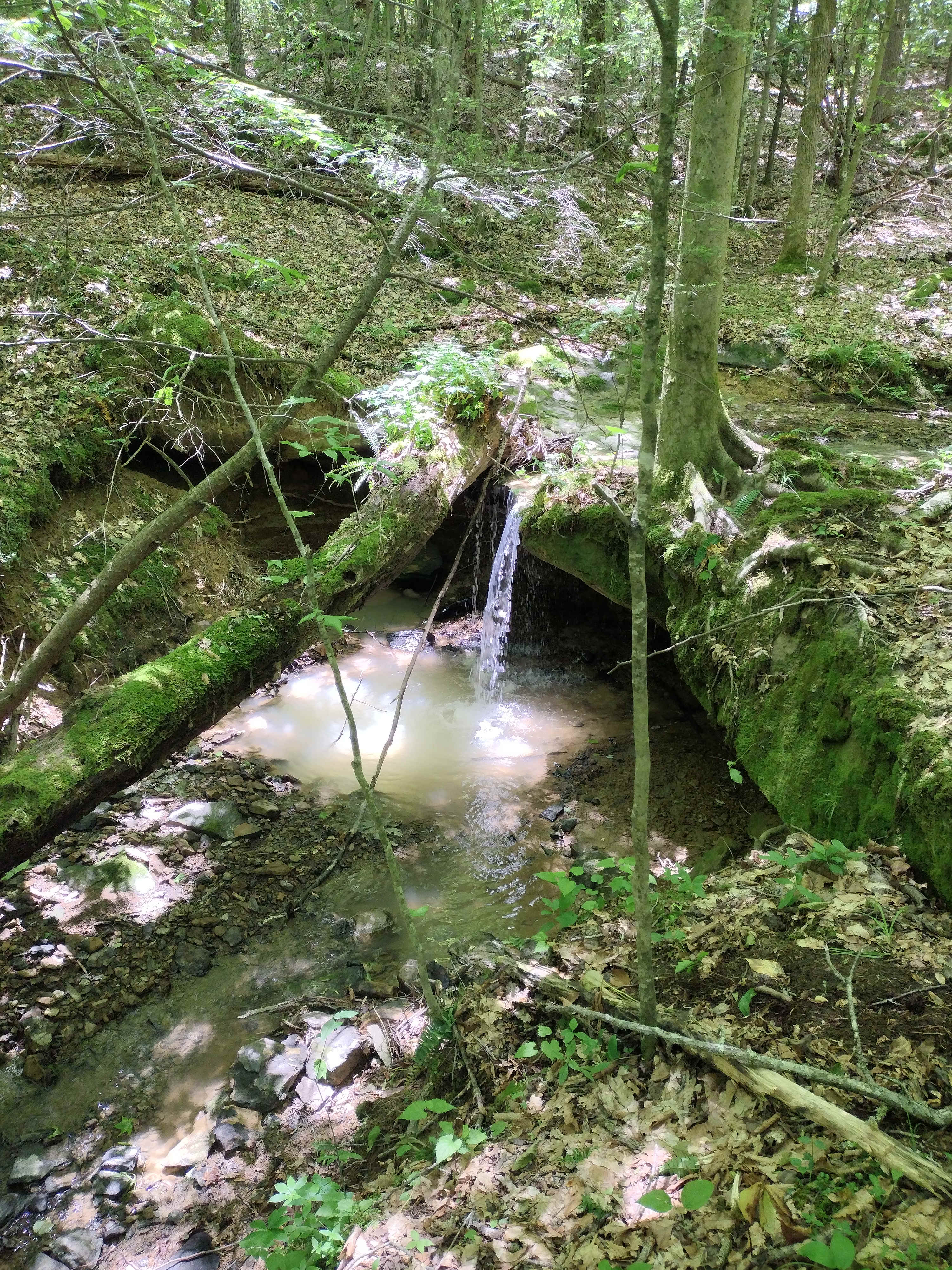 Boone Valley Campground