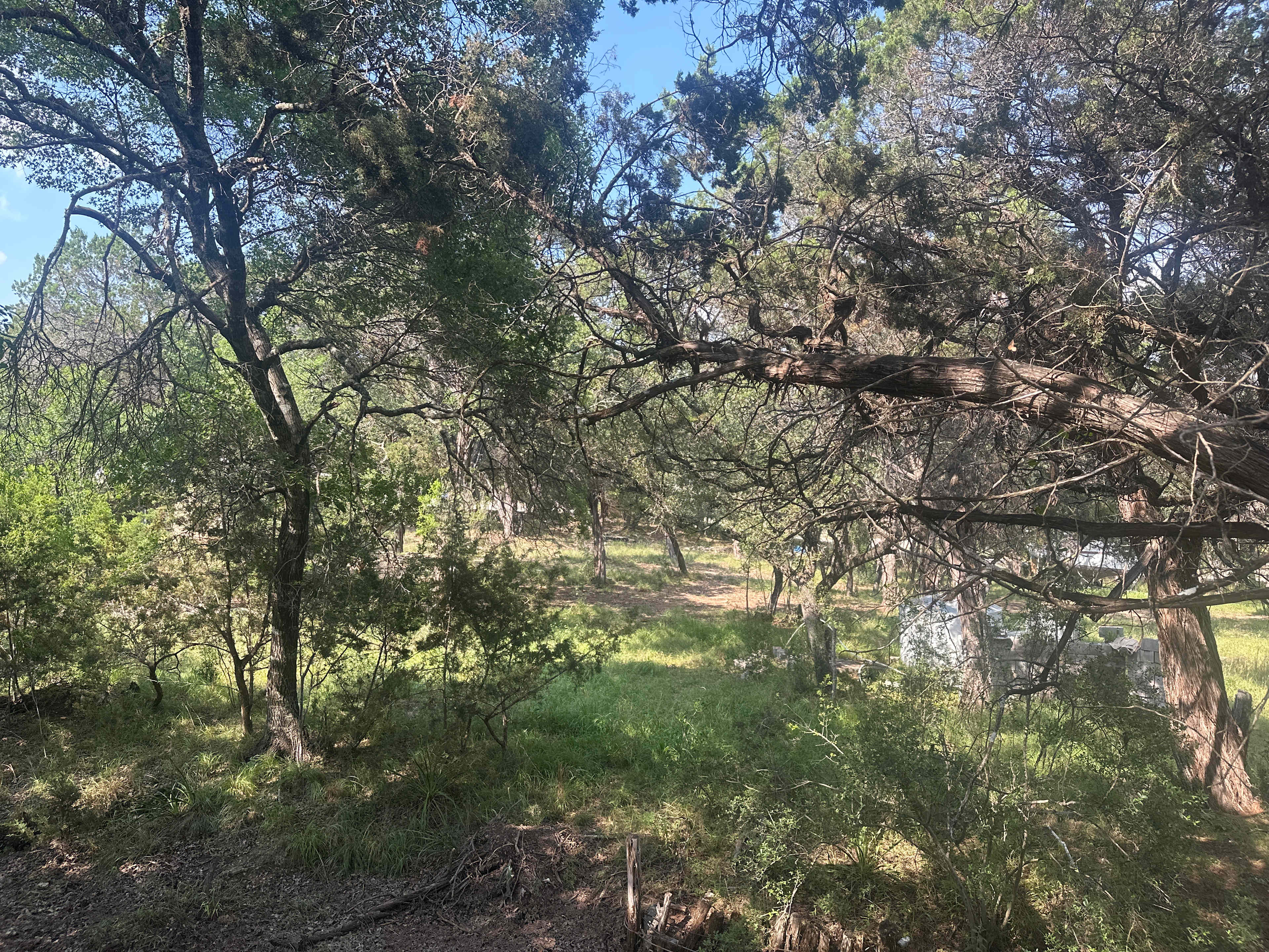 Nature
Shxnwnzms
Aksjxjx
Ajdjx