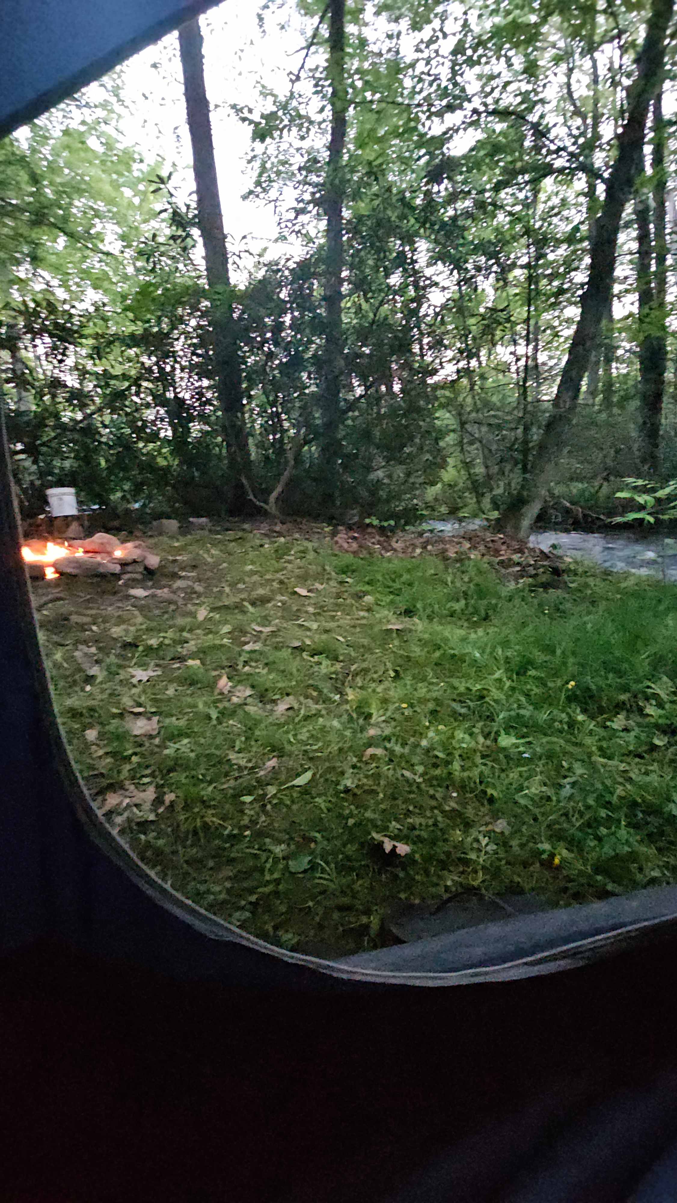 Bald Eagle Campsite