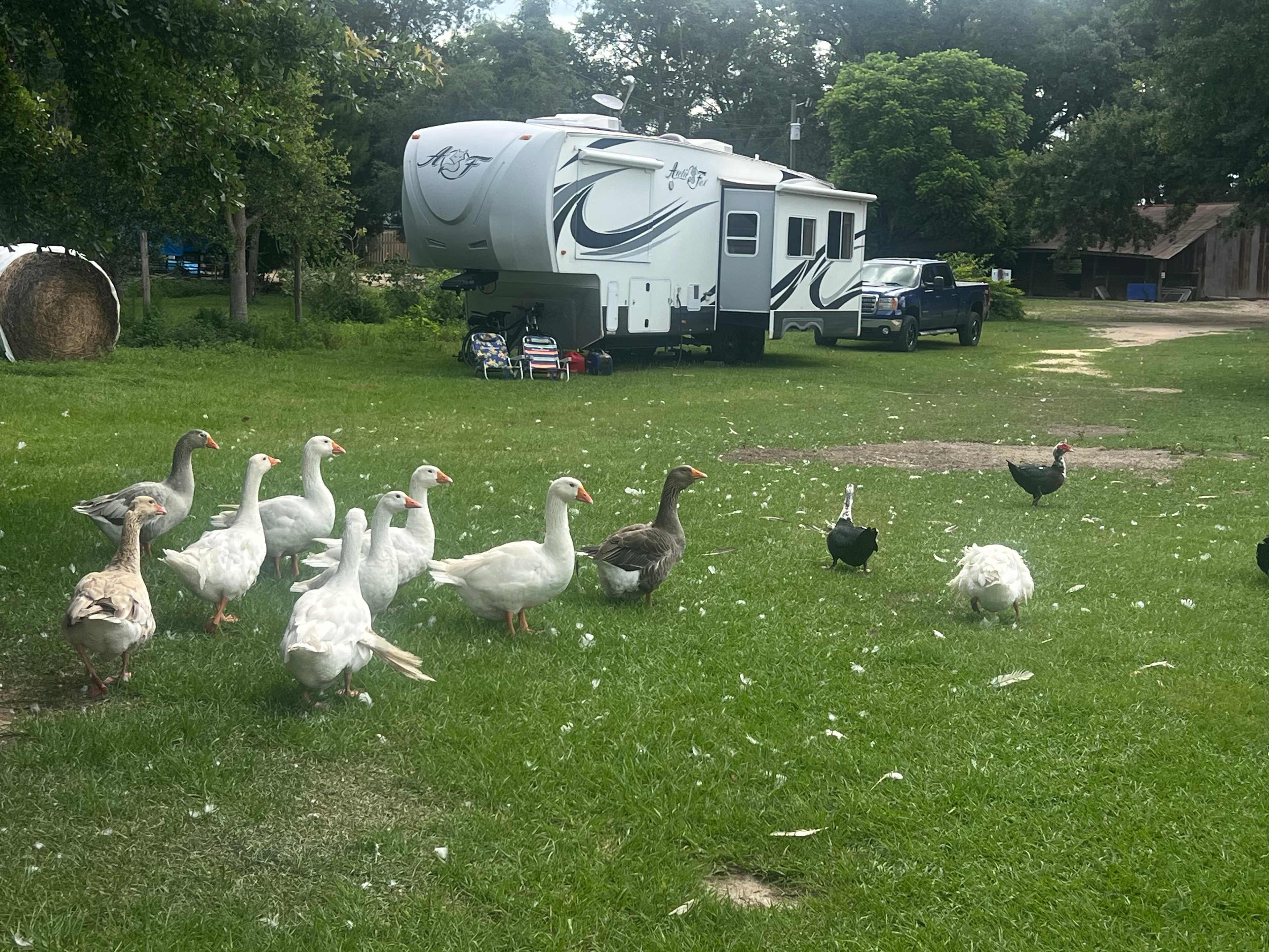 Moonpie Farm and Creamery
