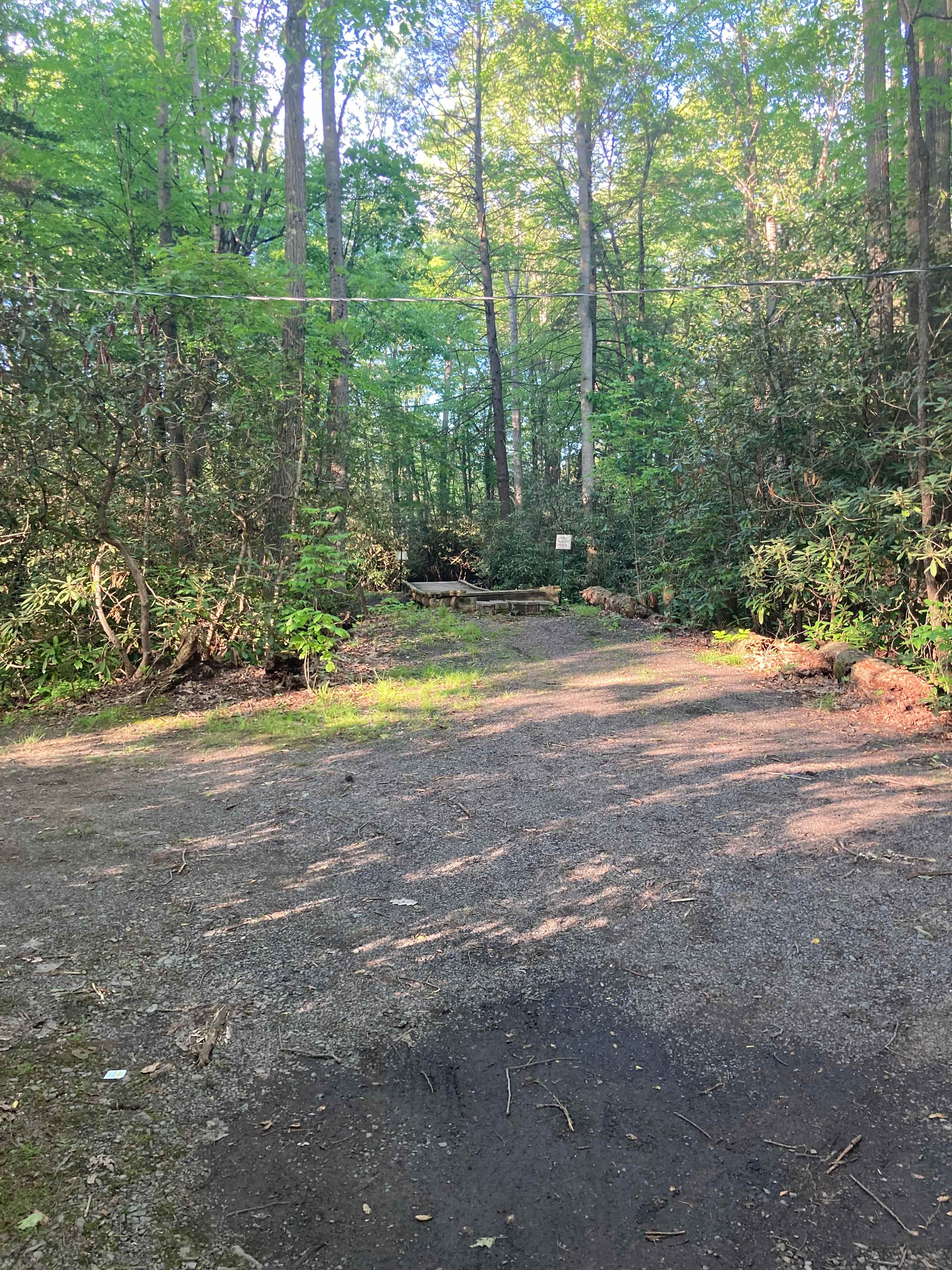 Bald Eagle Campsite