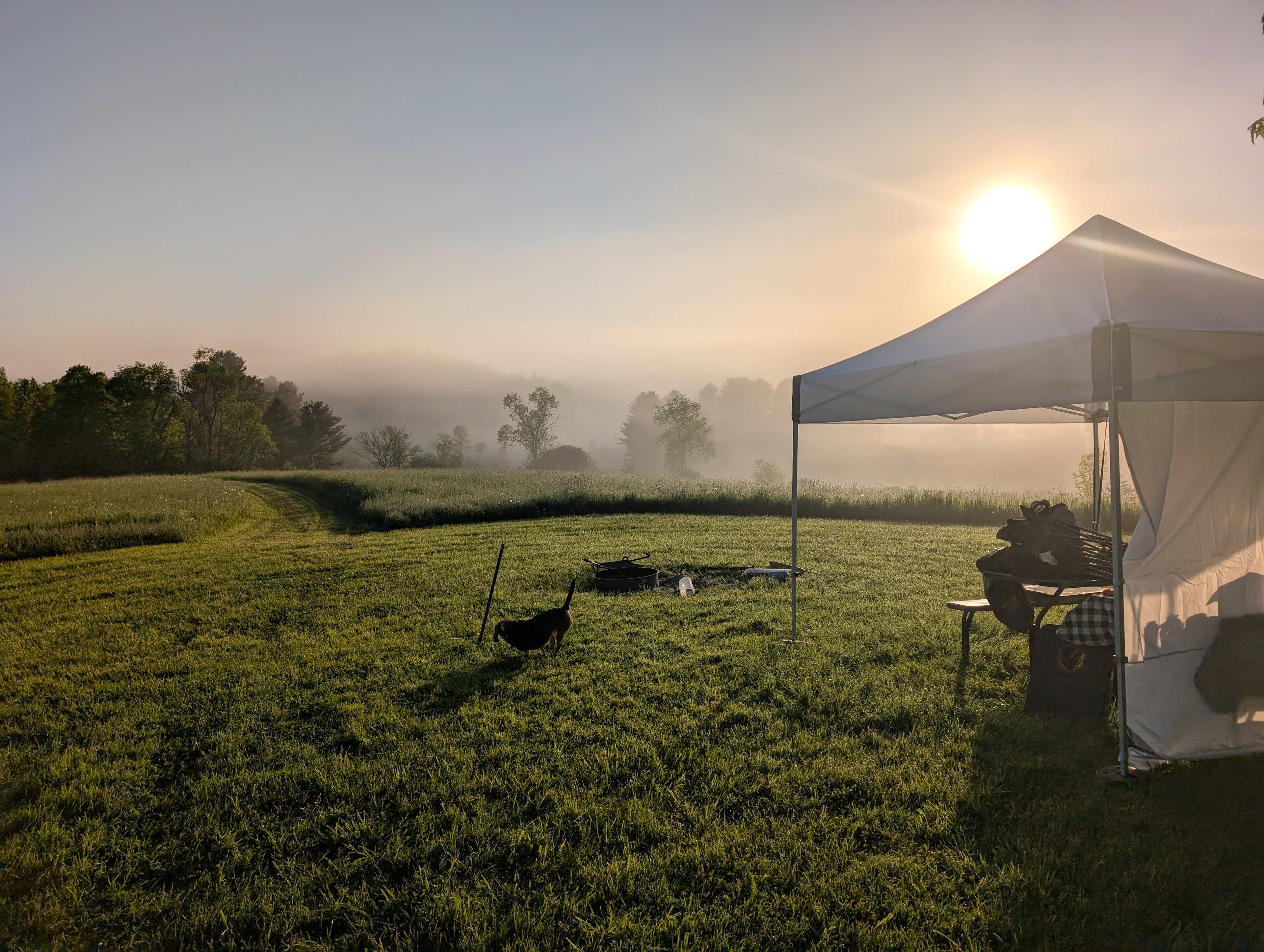 Harold's View Farm