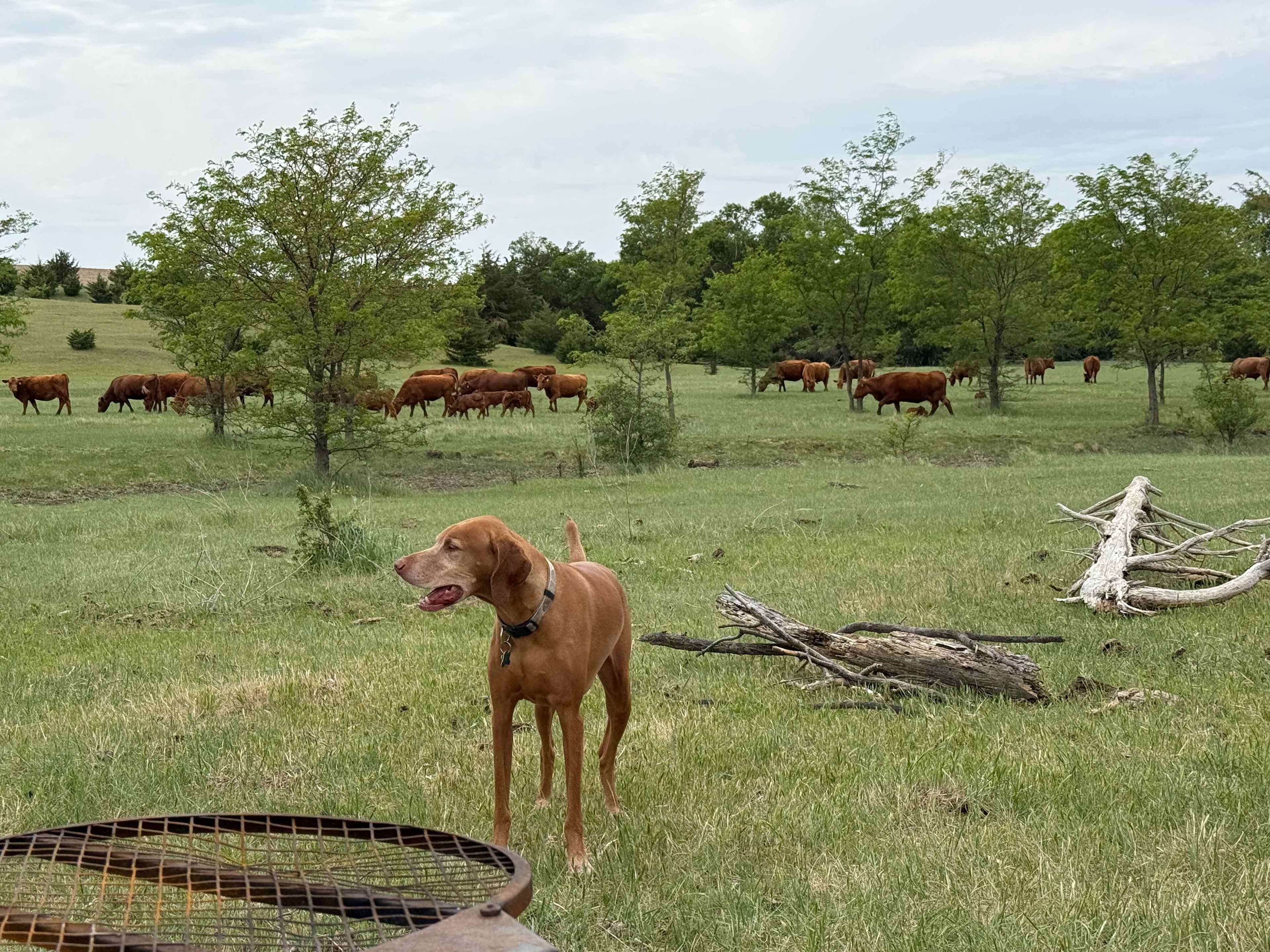 Andersen's Rustic Farm Paradise