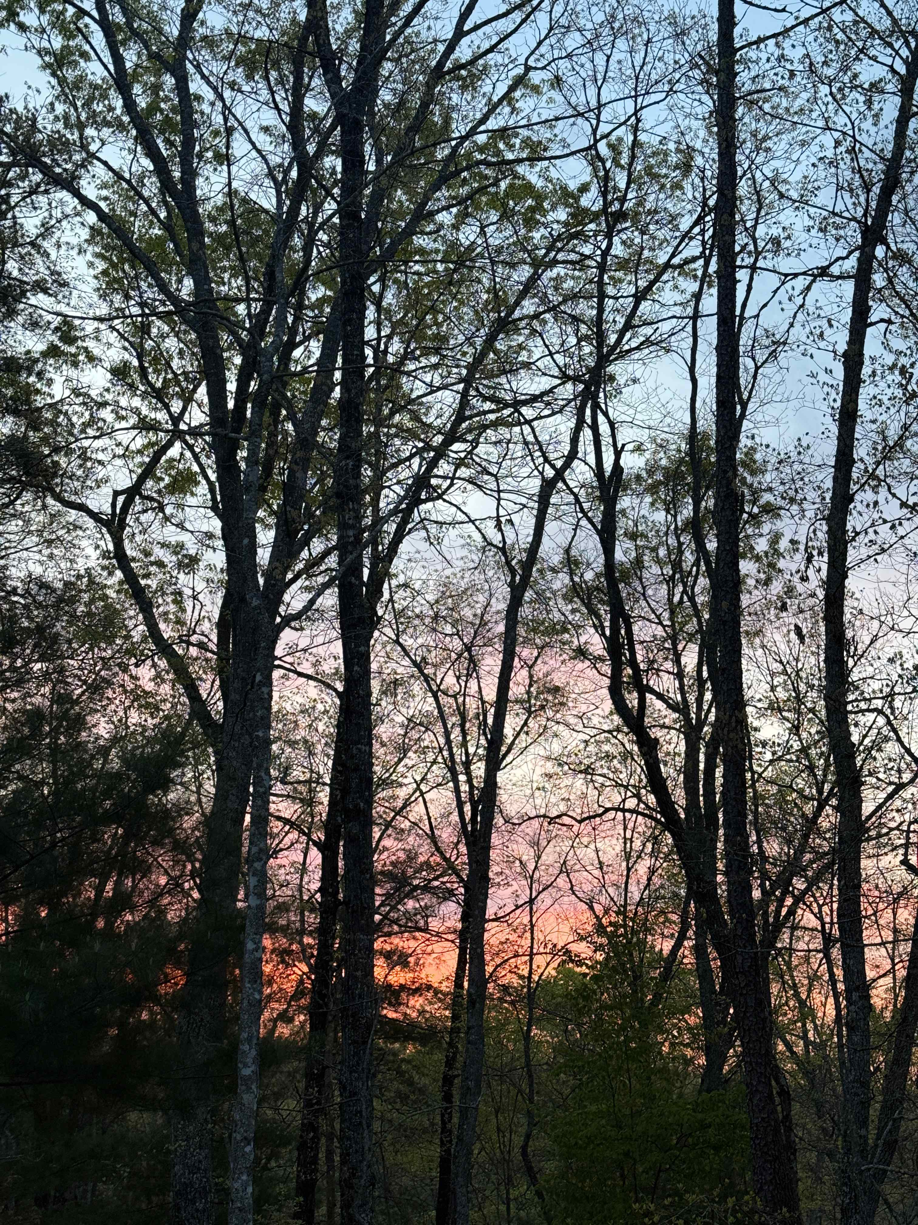 The Property at Mull Valley