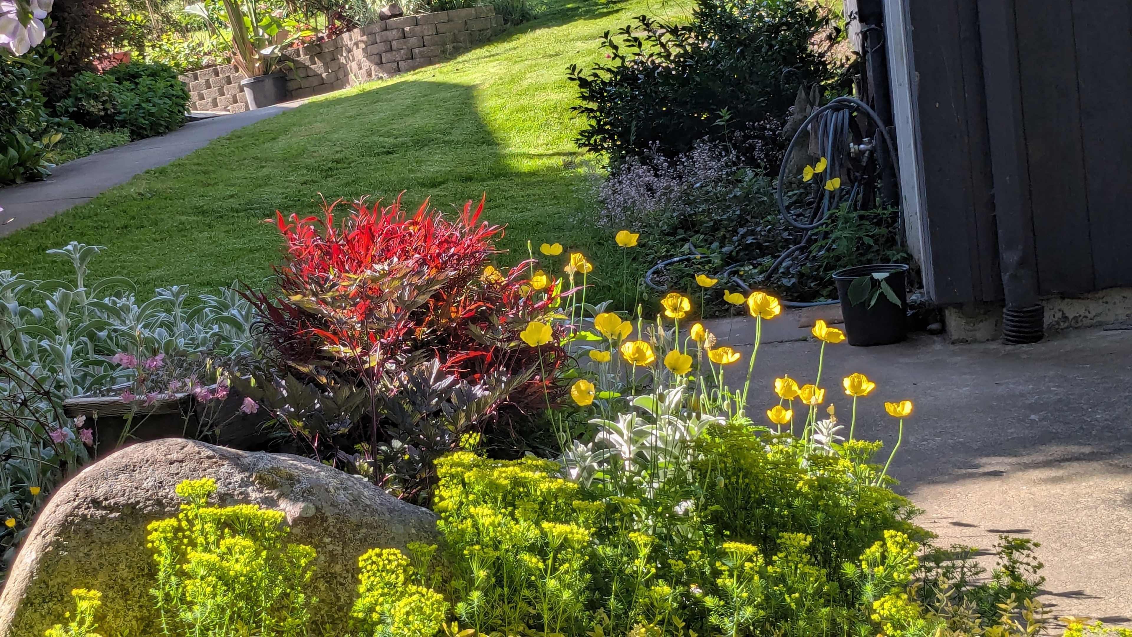 Such a healthy garden, with color and texture and the many hours it took to create one such garden bed. And this was one of many!ours 
