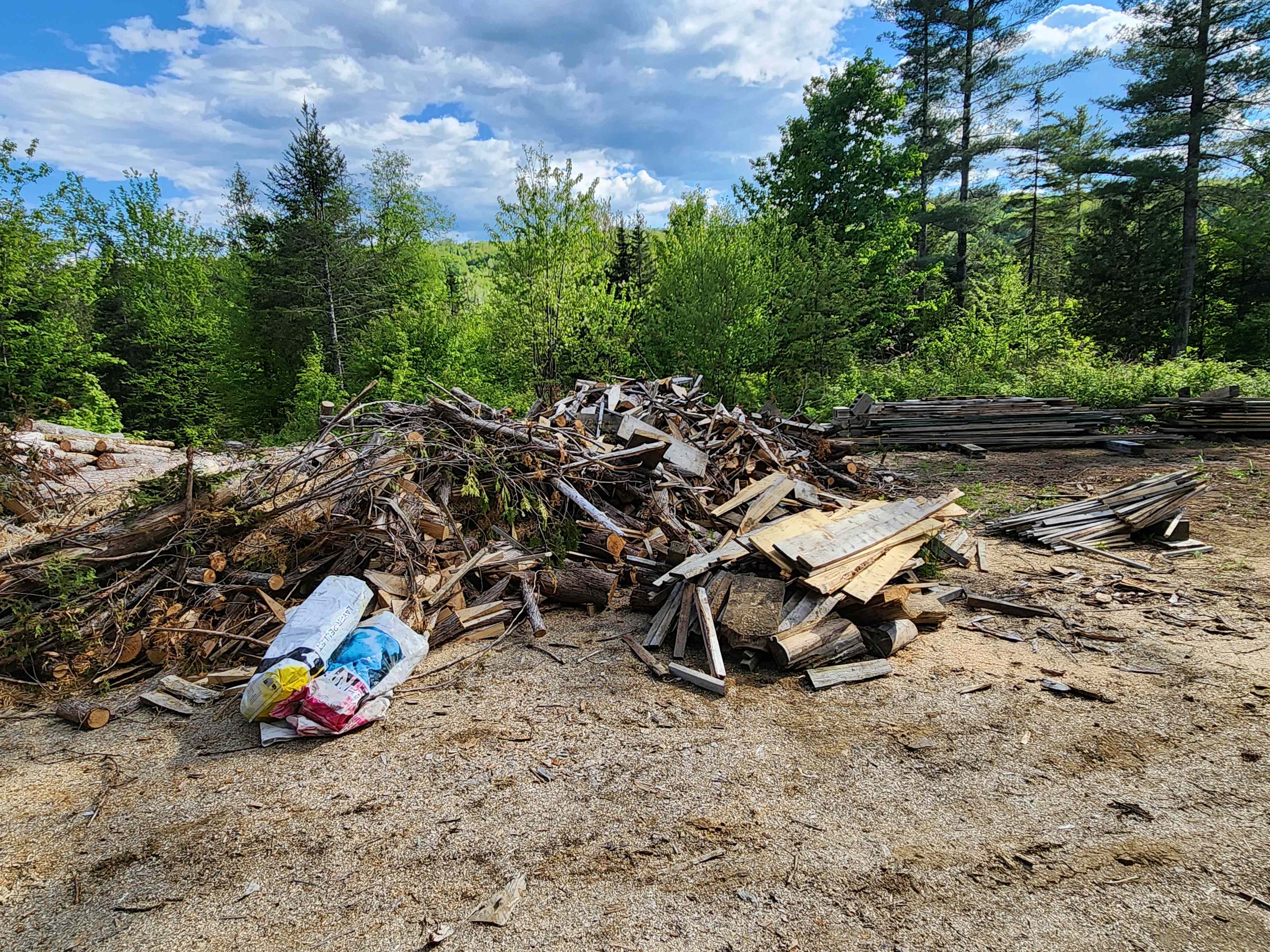 Picture of the site