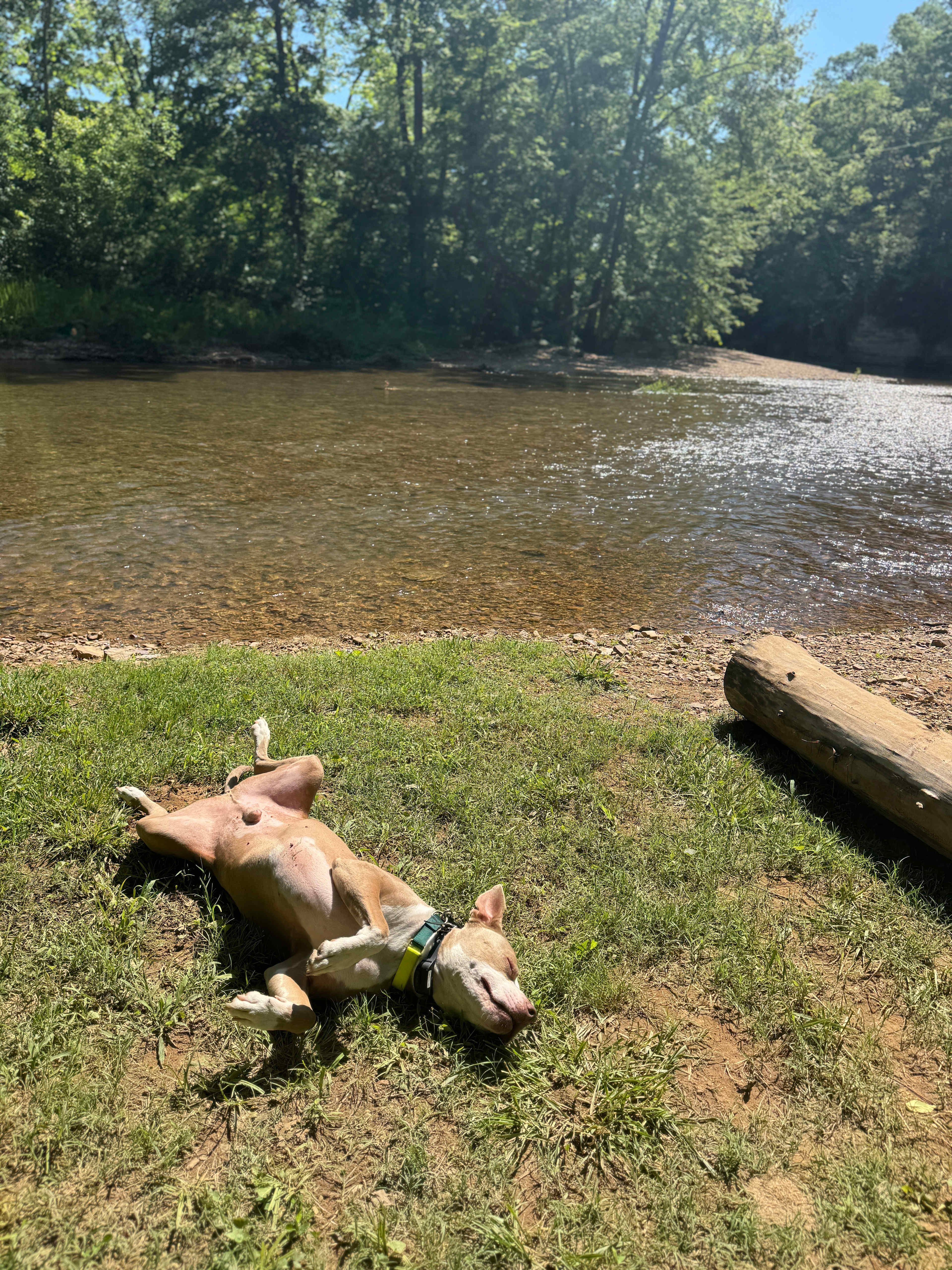 The Bluffs At Tumbling Creek