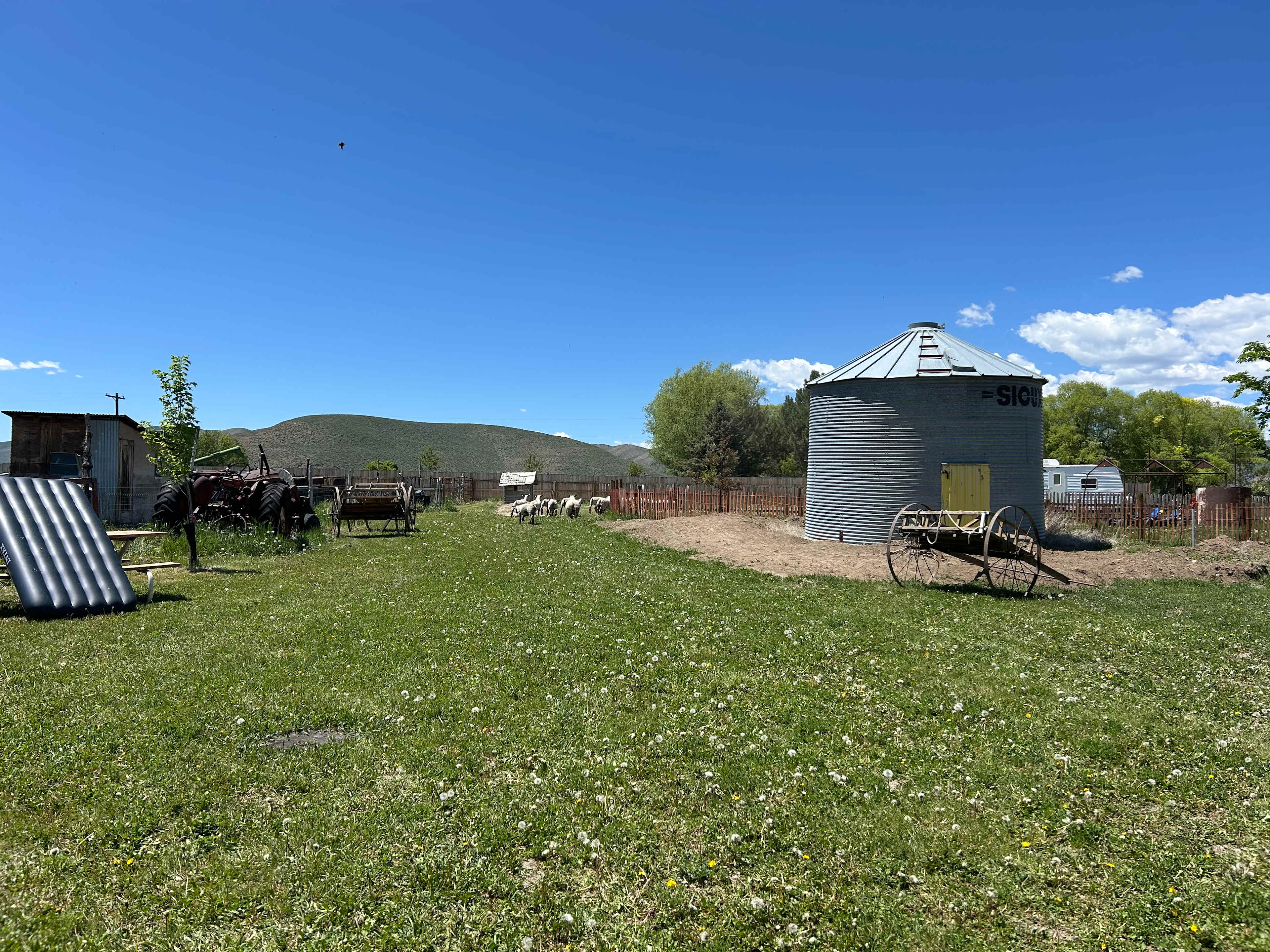Crazy Cow Farm Adventures