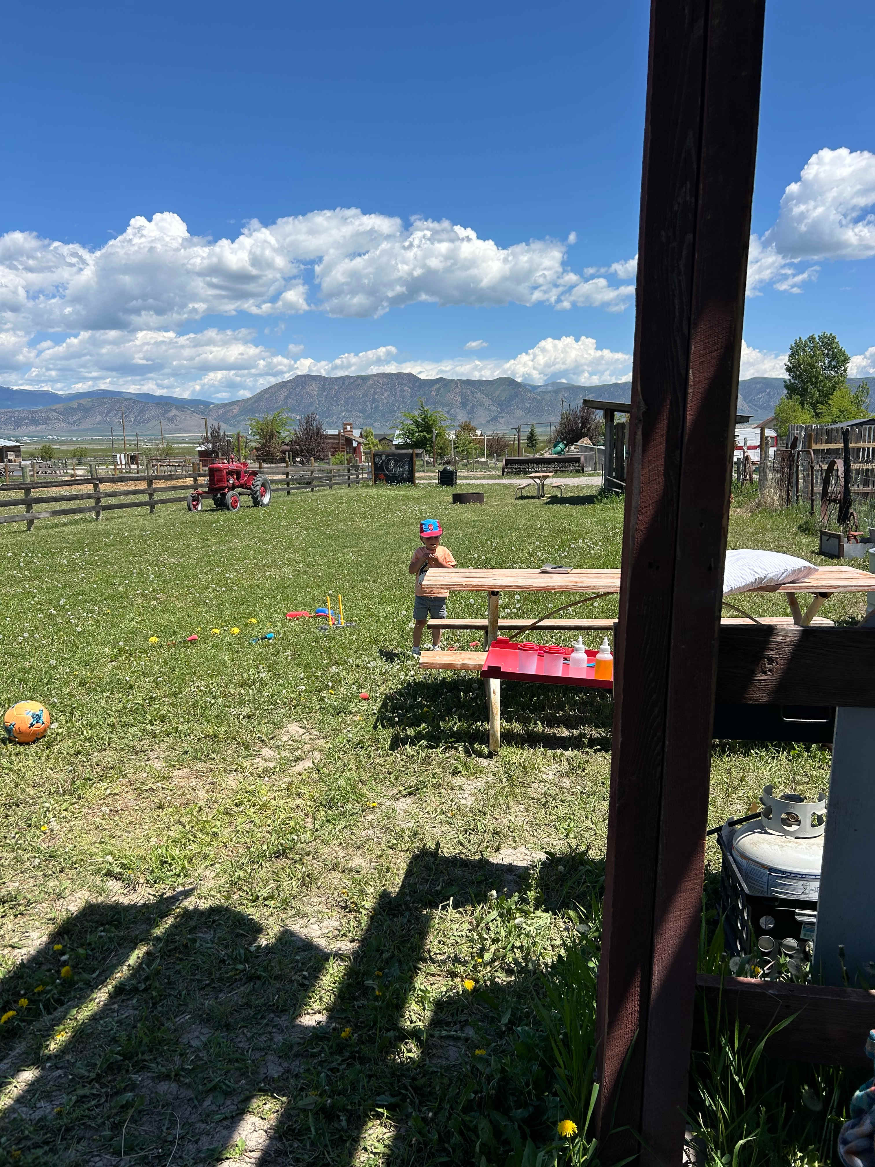 Crazy Cow Farm Adventures