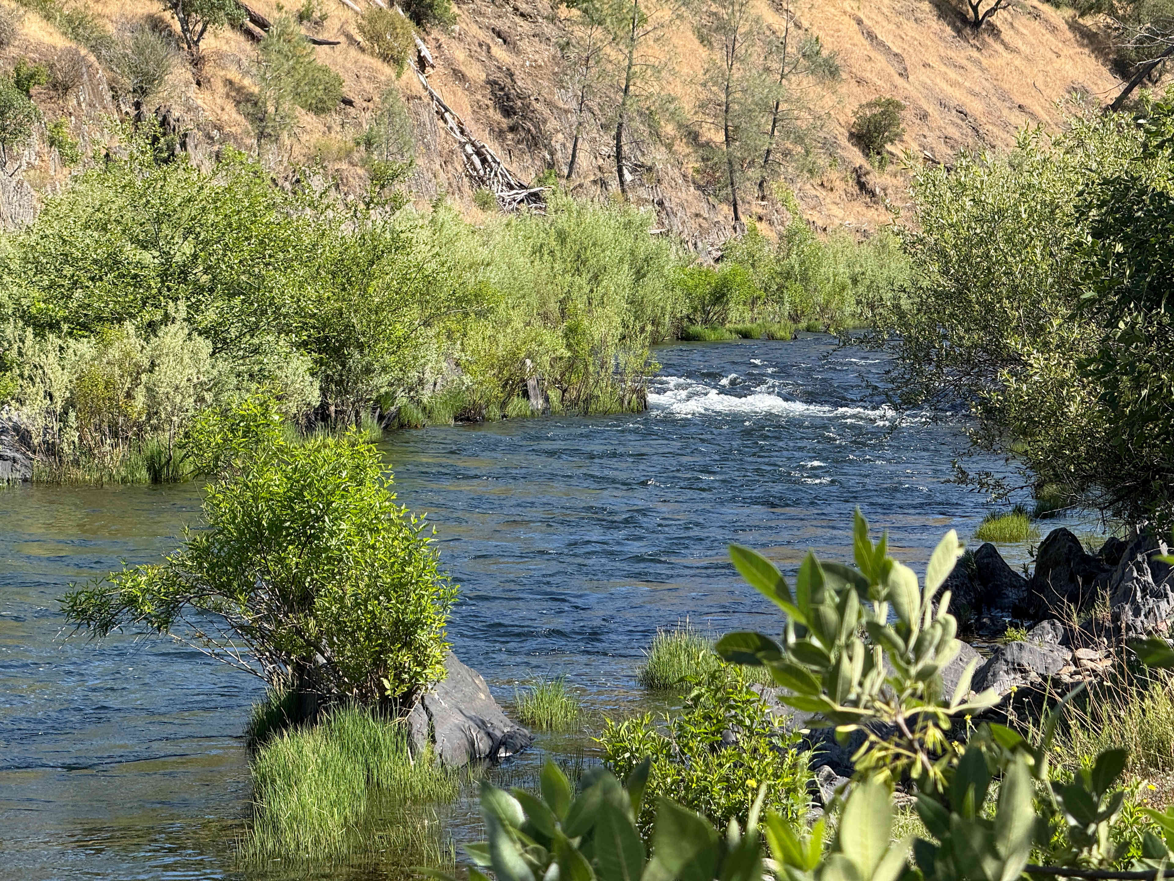 Cosumnes River Ranch