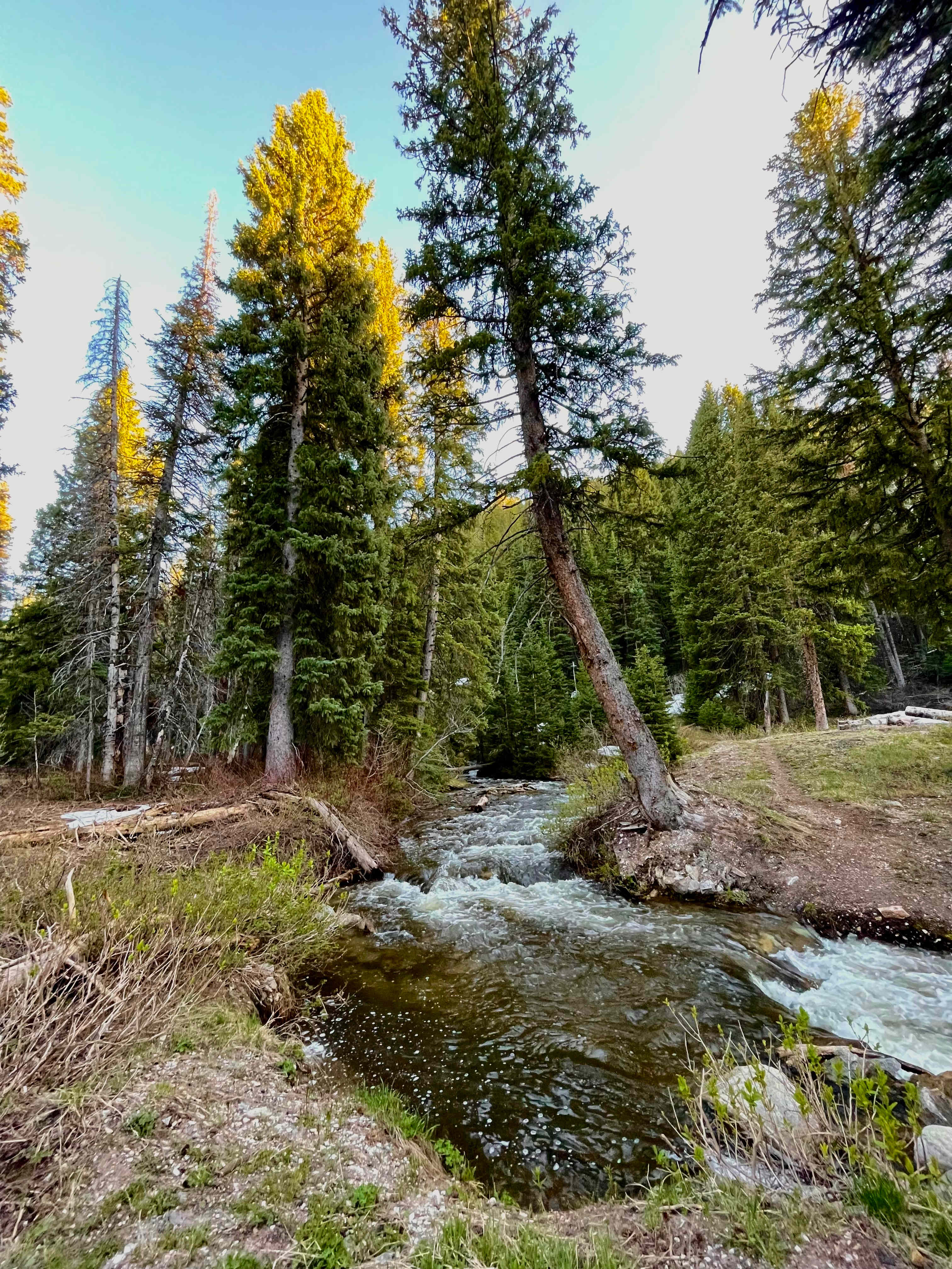 River super close by 