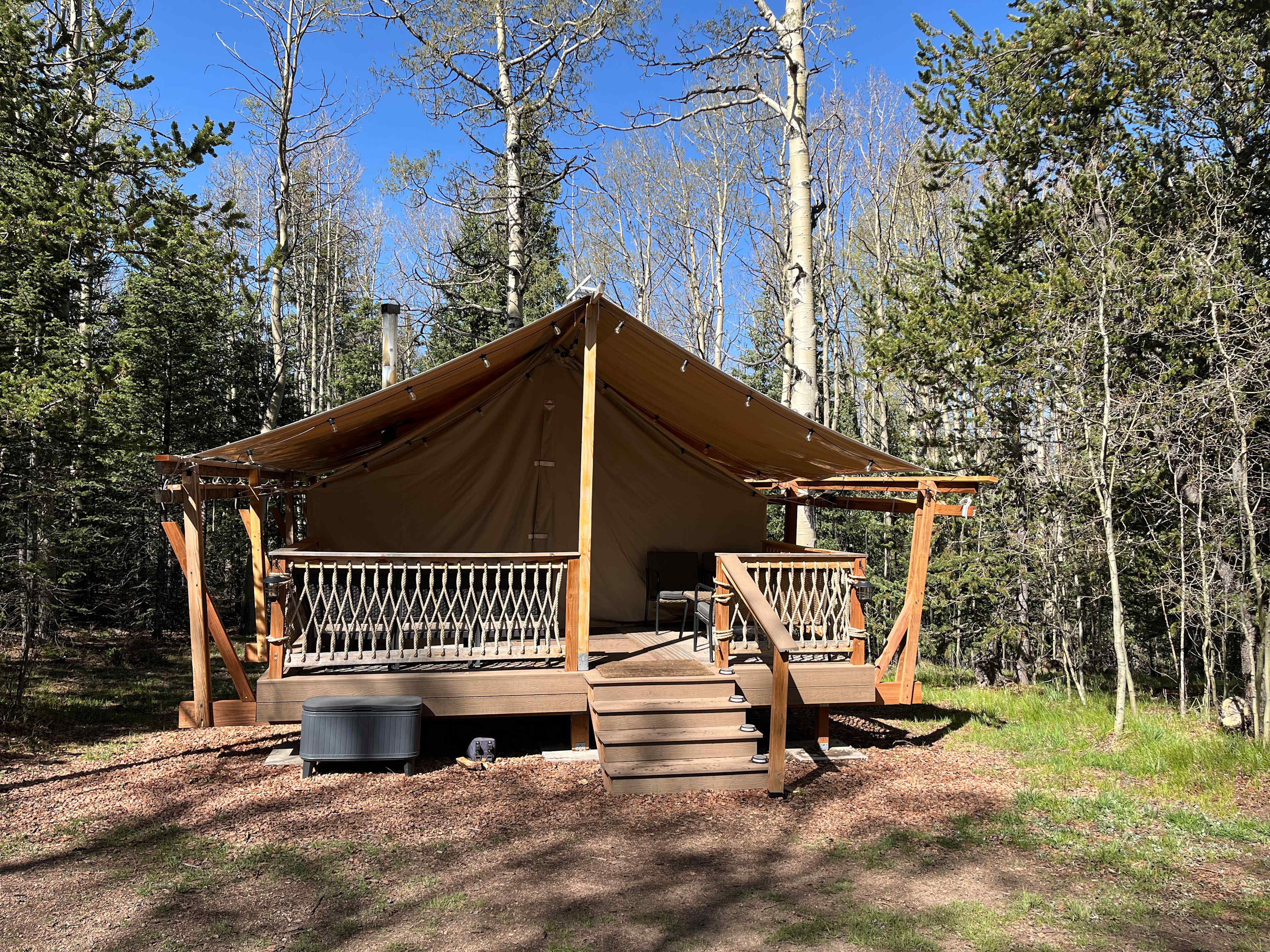 Quaking Aspens Campsite- For Kids!