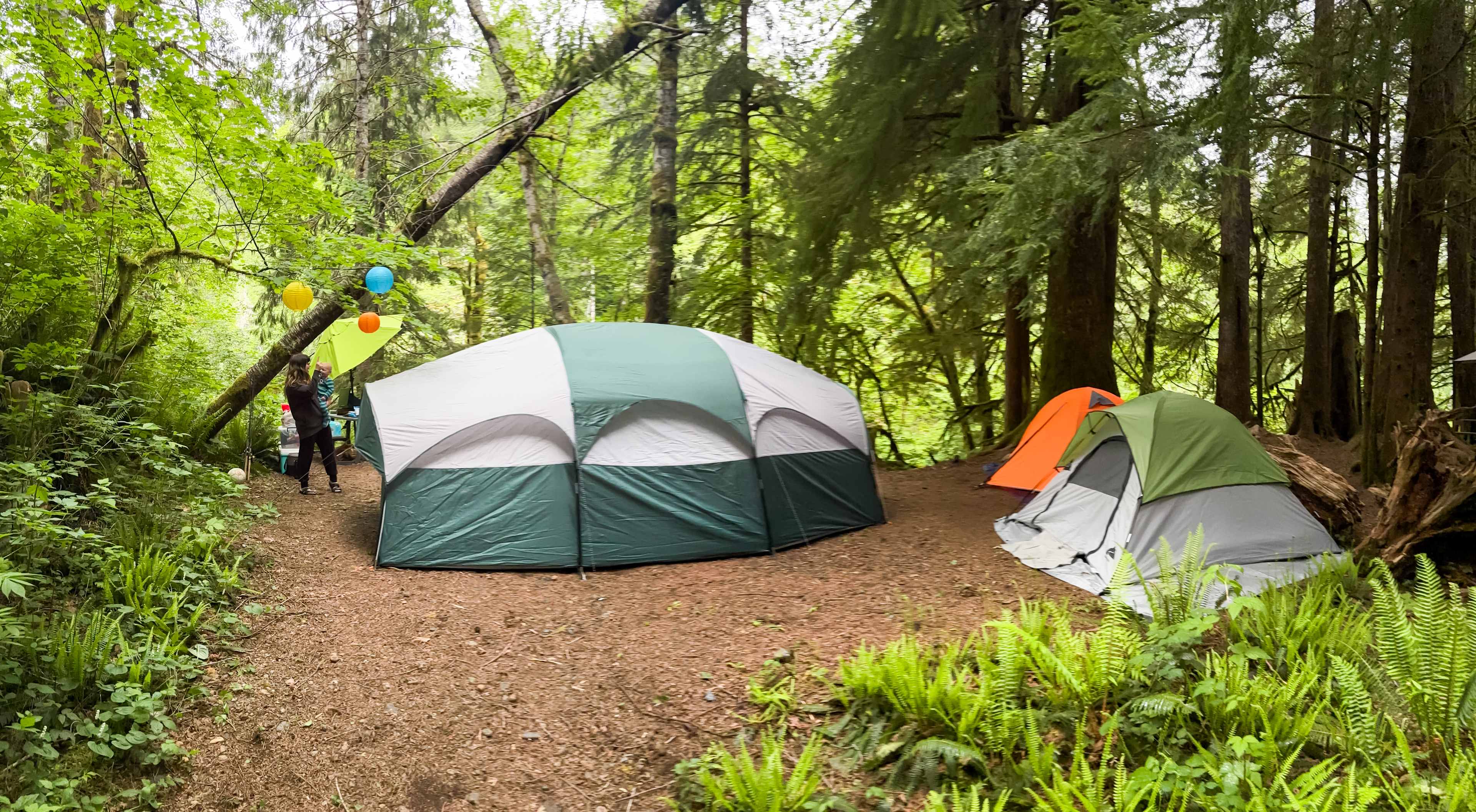 Dawleys SolDuc River Campground