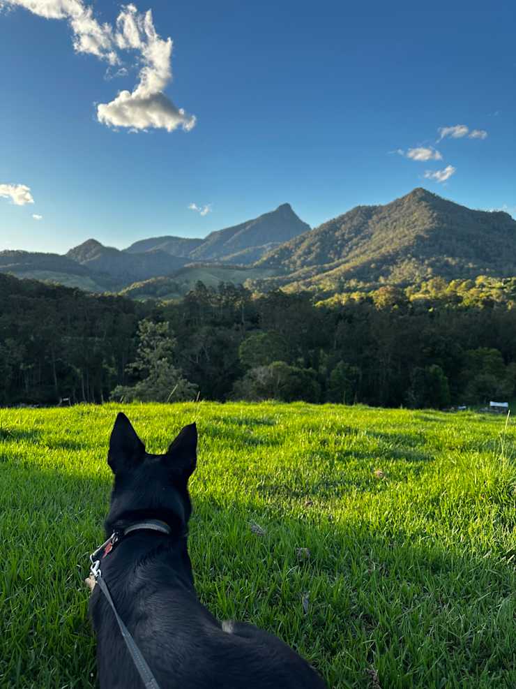 Hilltop View