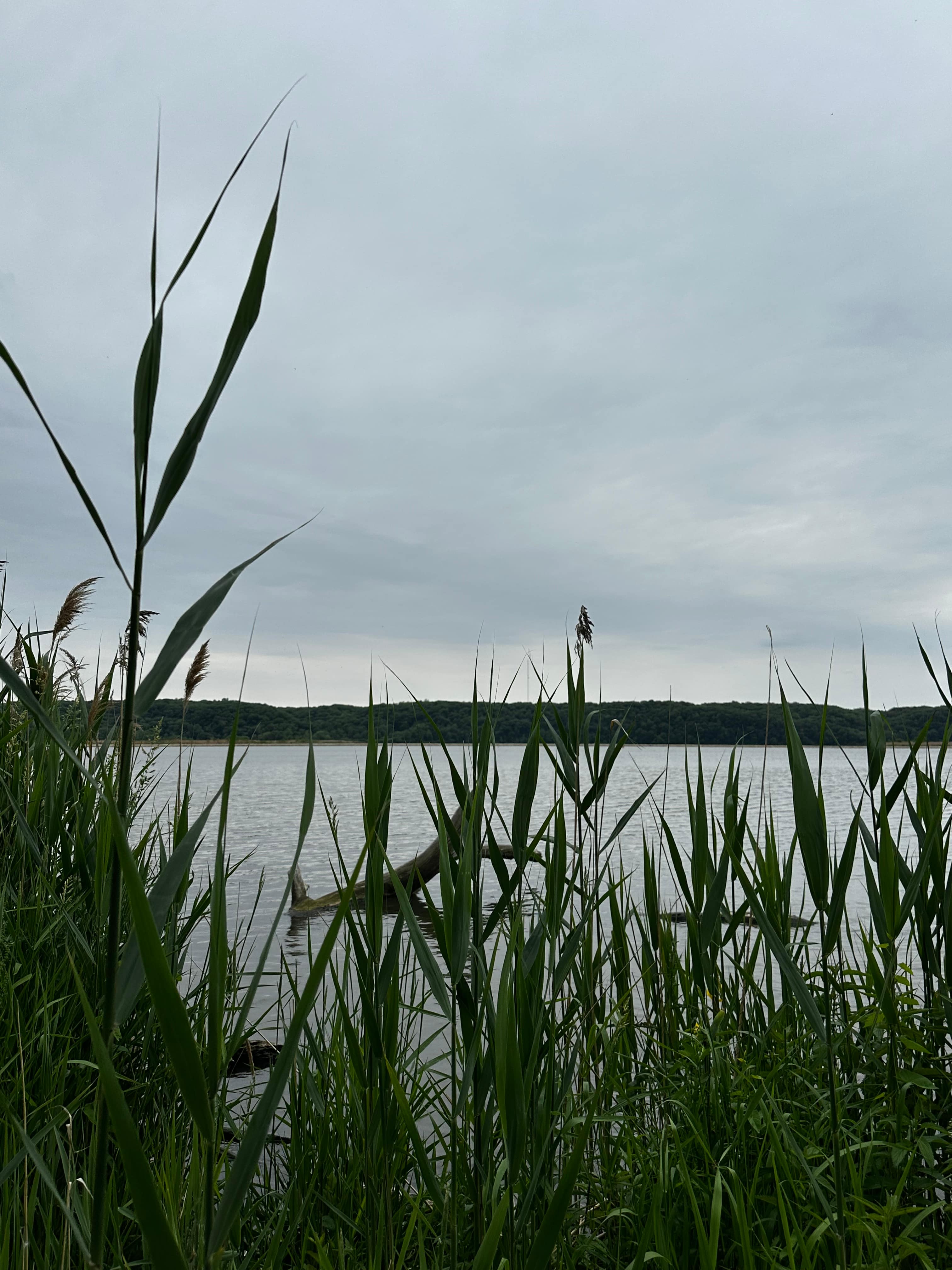 Kayak Starved Rock Campground