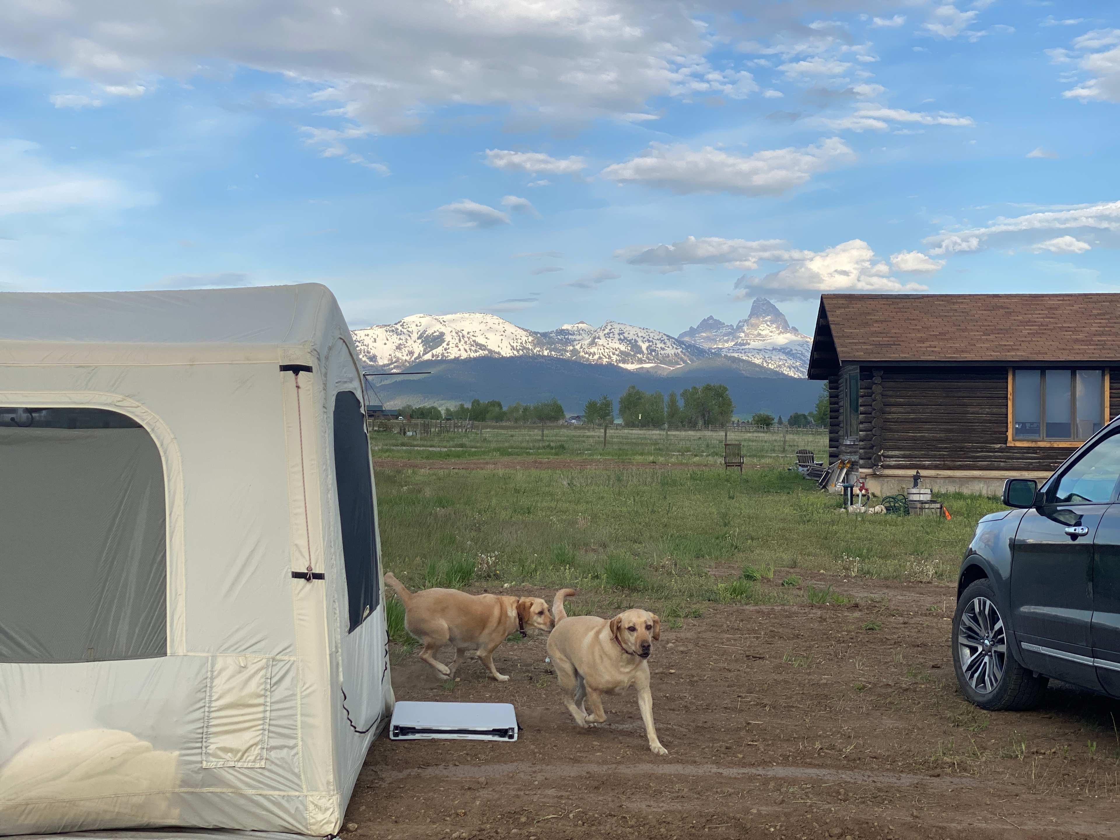 Teton Views