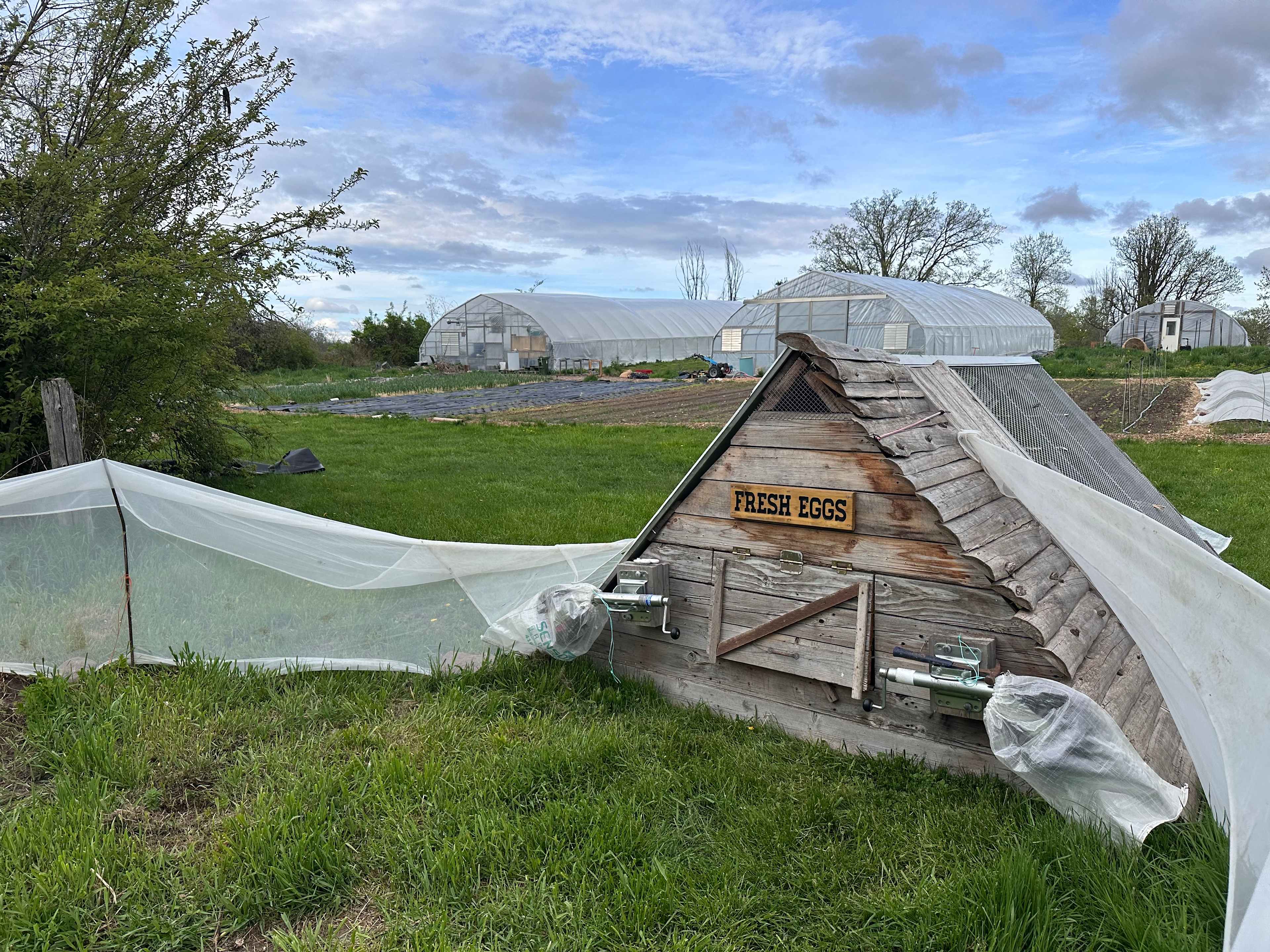 Organic Flower Farm
