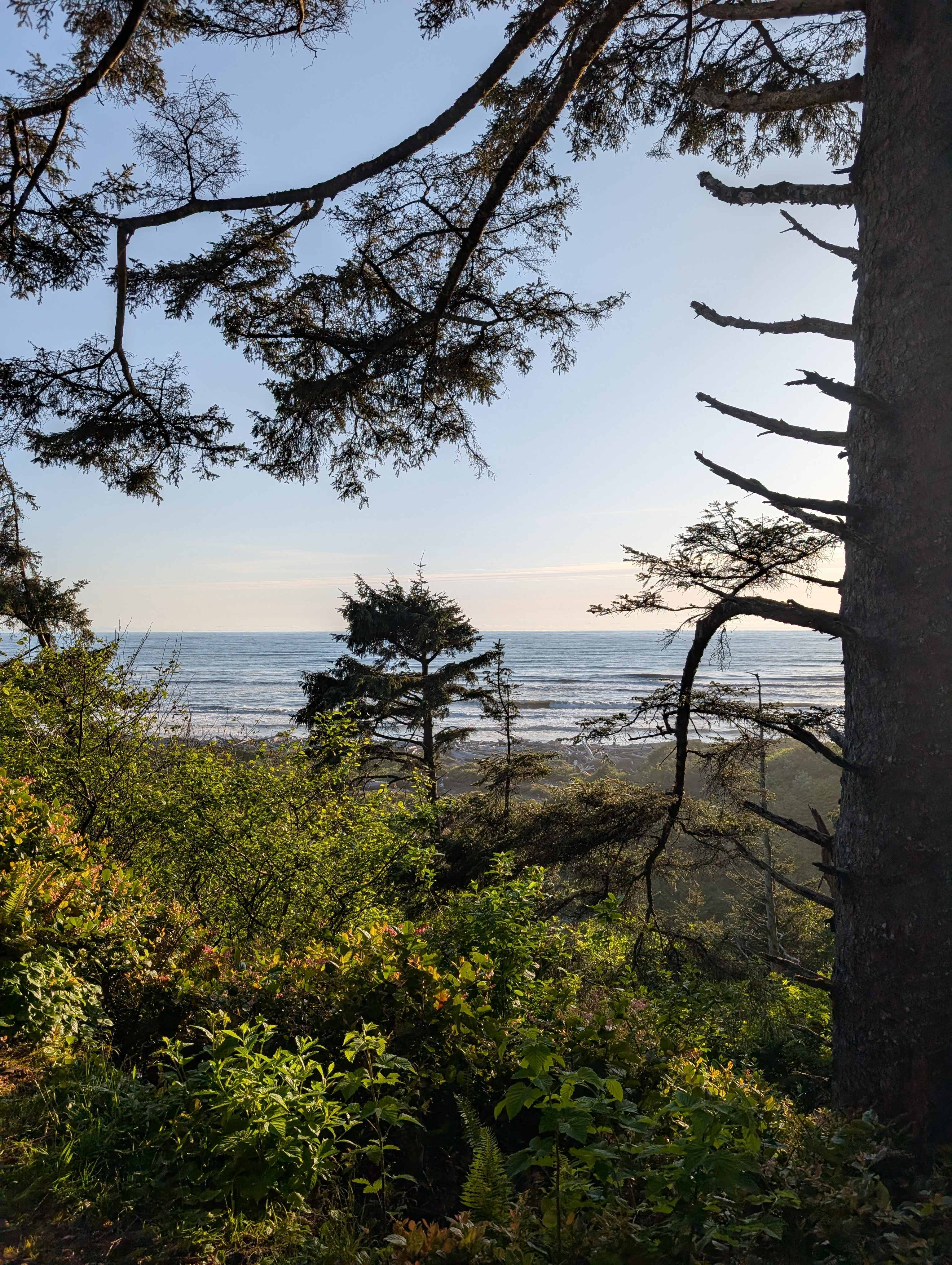 Wild WA Coast Lookout ($75 - $125)