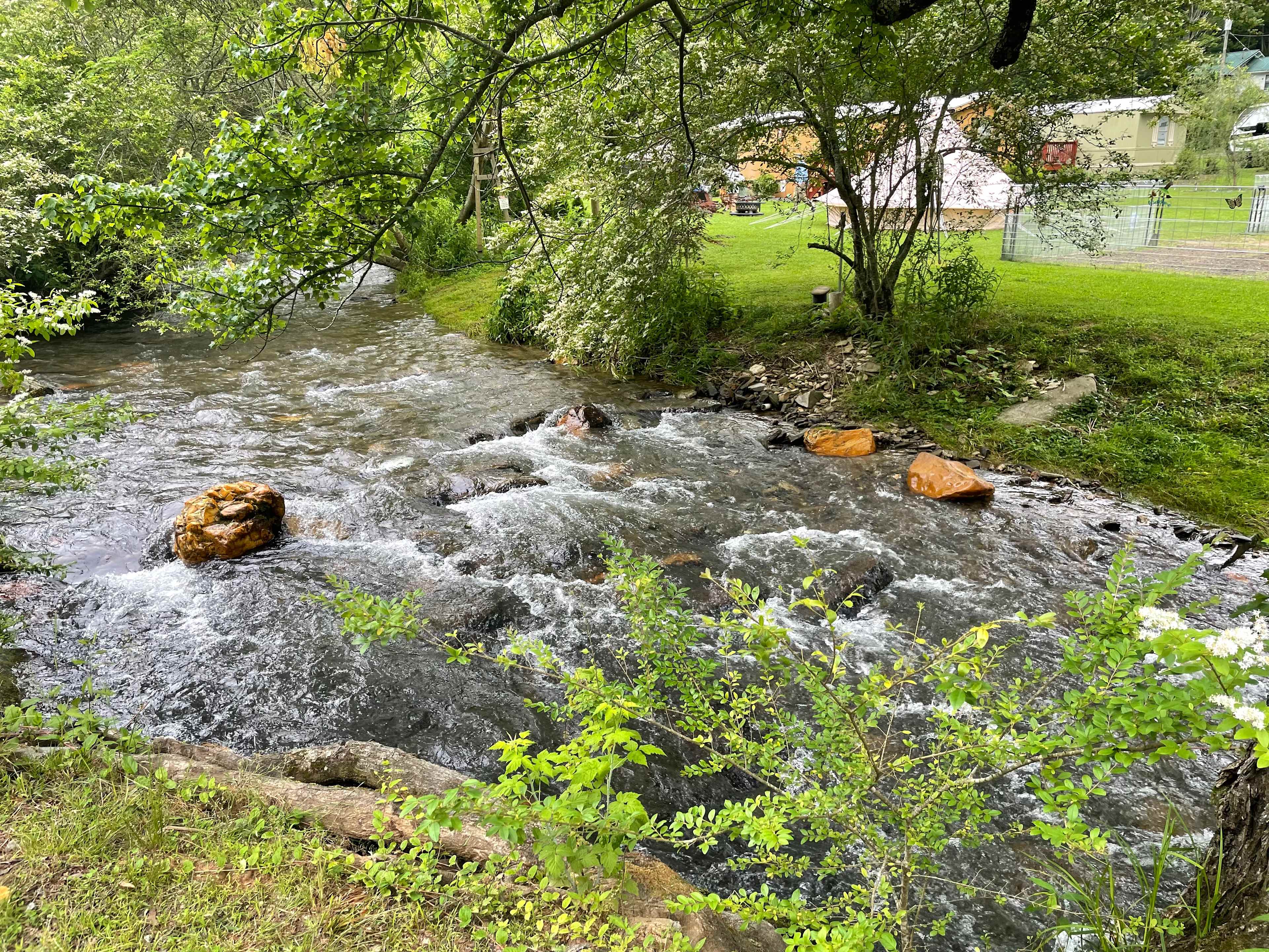 Conleys Creek Campground
