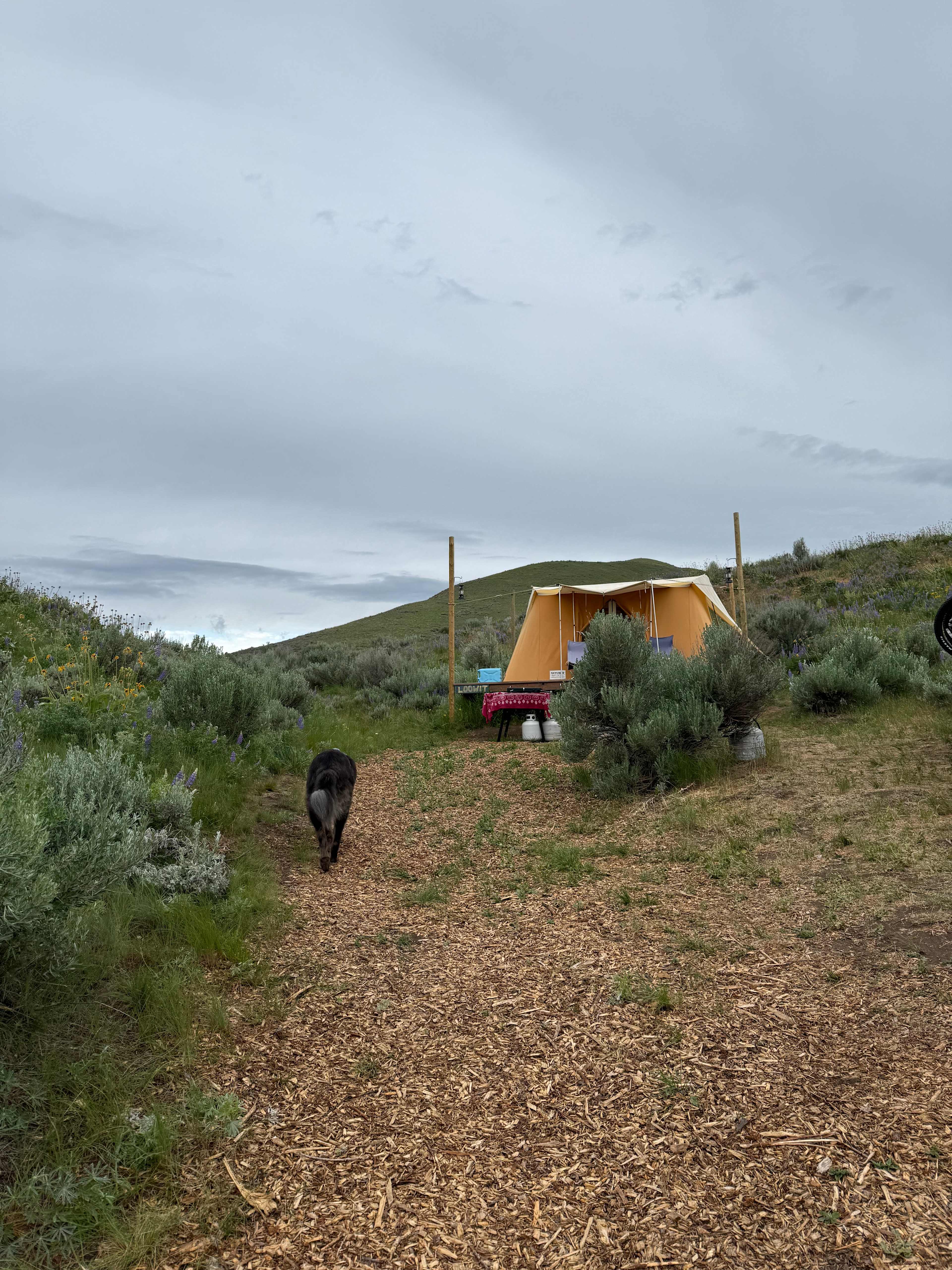 Secluded Hillside Camp