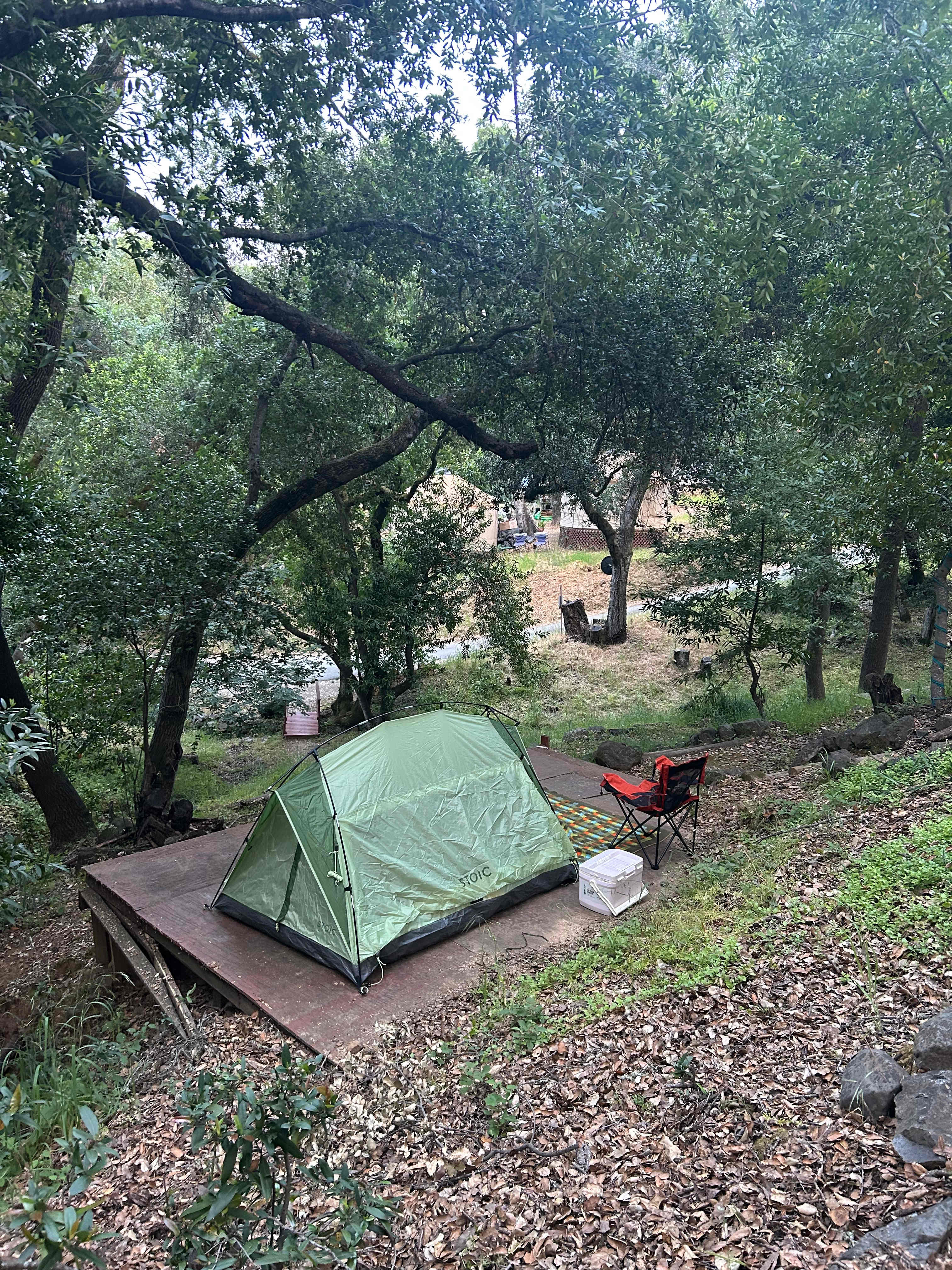 Picture of the site