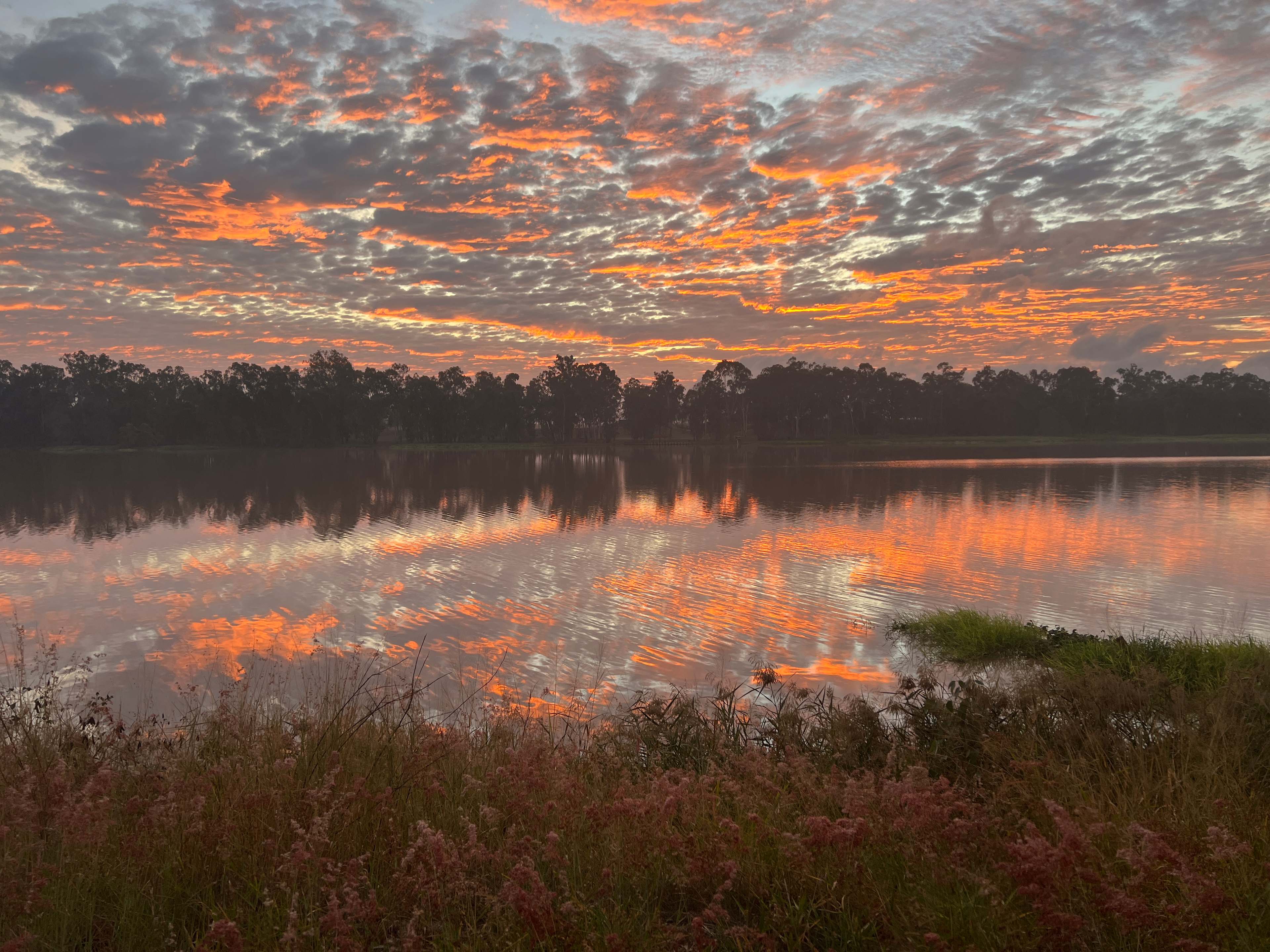 Sunrise over the river